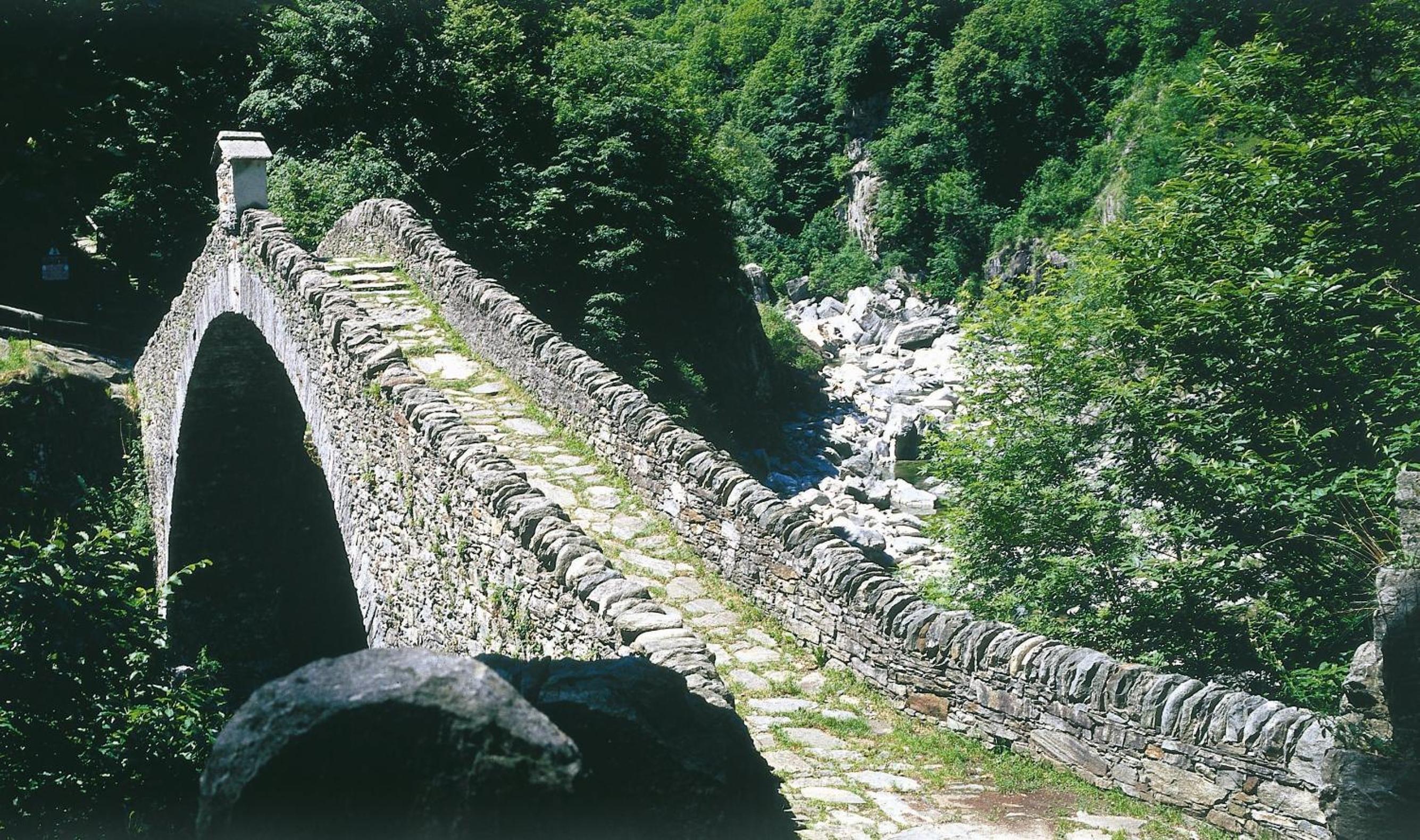 Photo 46