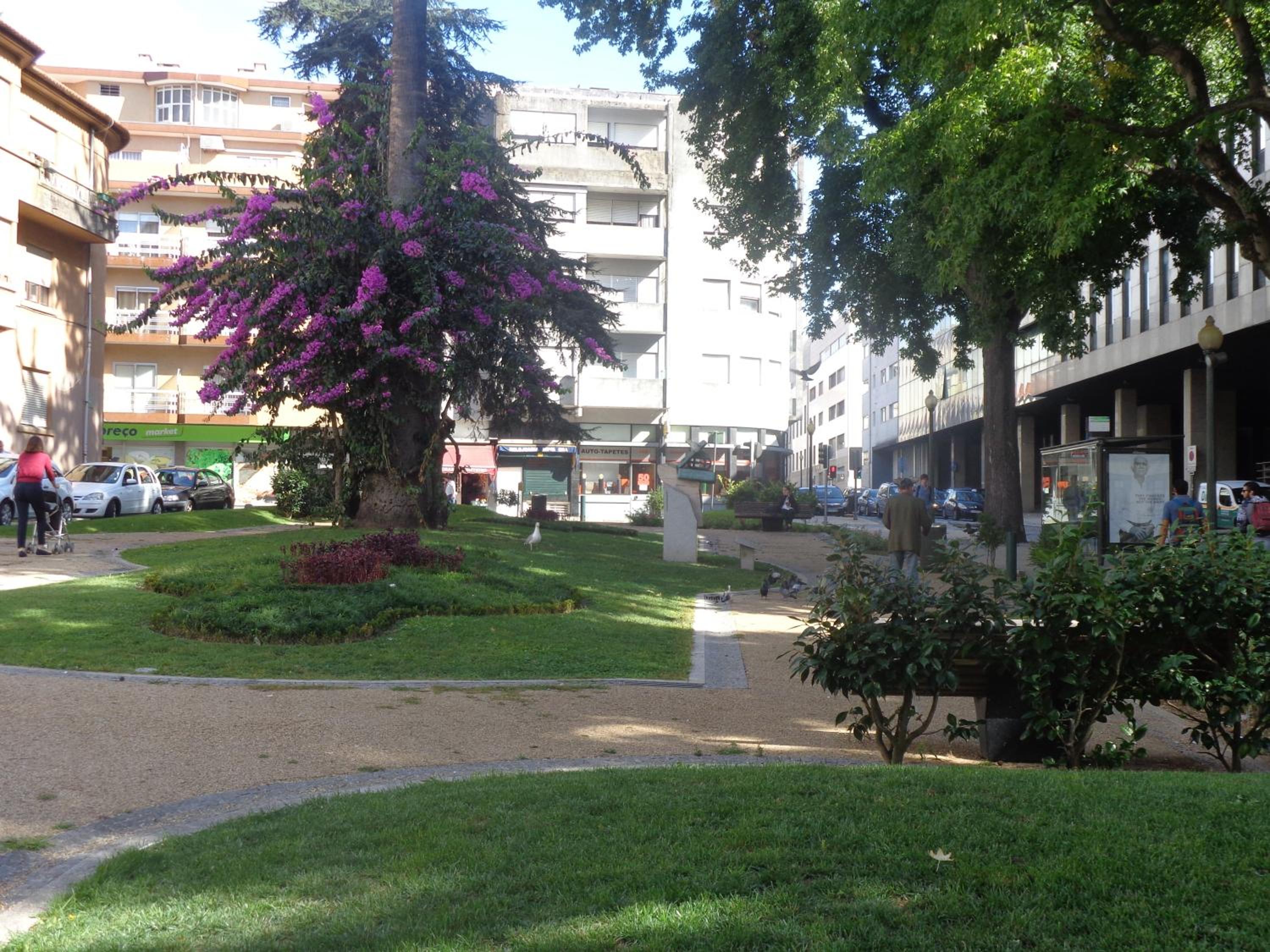 Portuense Alojamento Local view 5