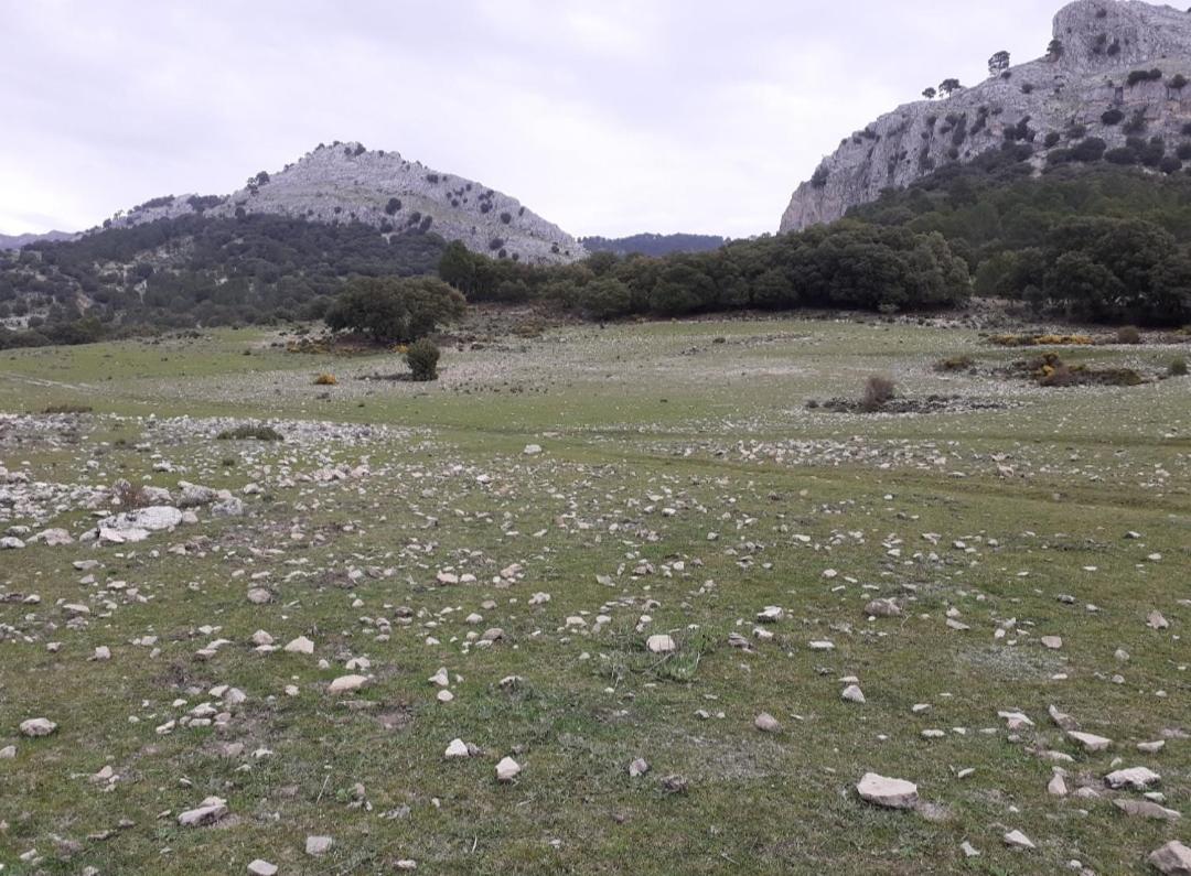 ENTRESIERRAS Apartamentos rurales con chimenea, barbacoa y espacio para eventos