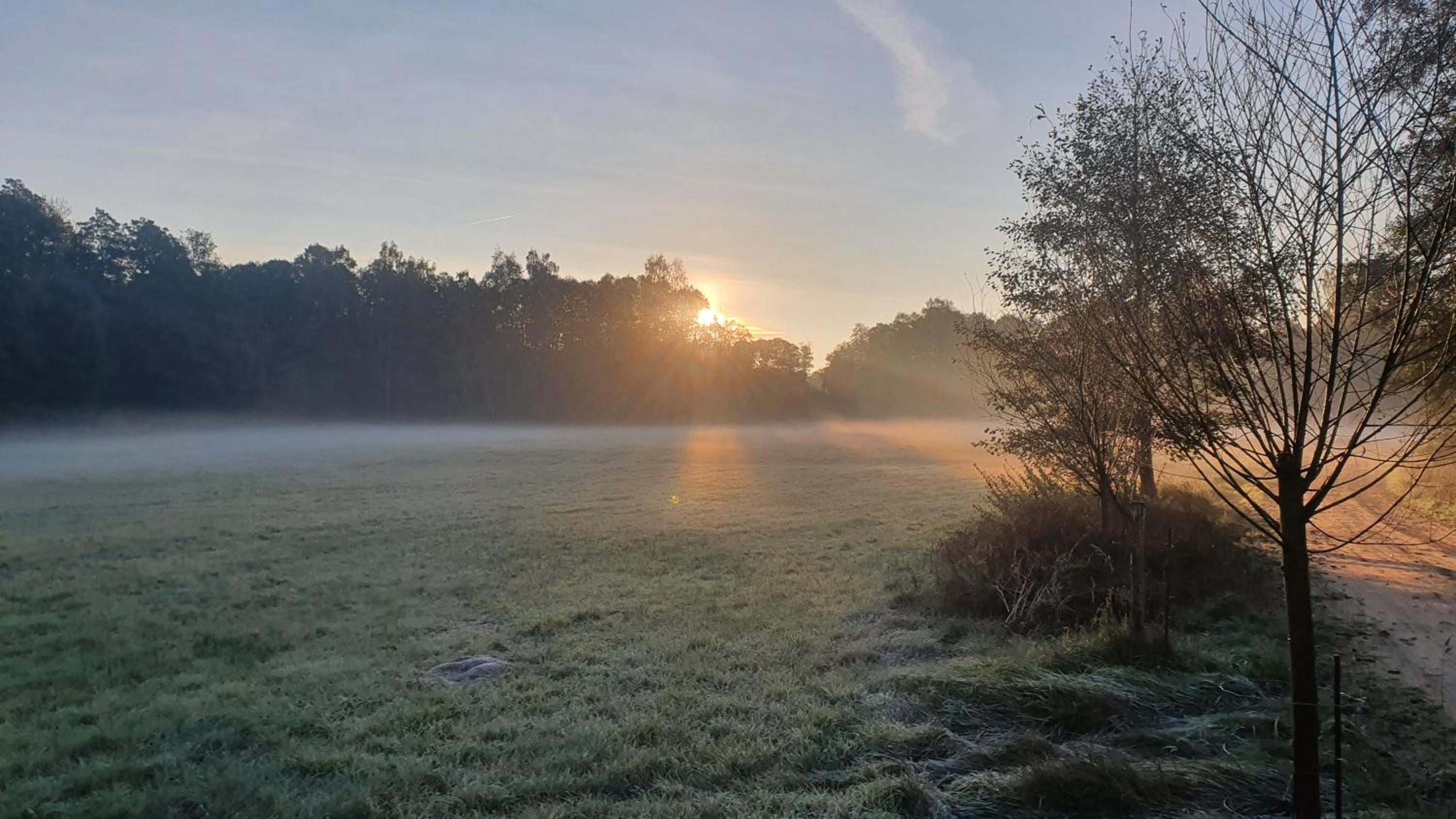 Am Grünen Meer
