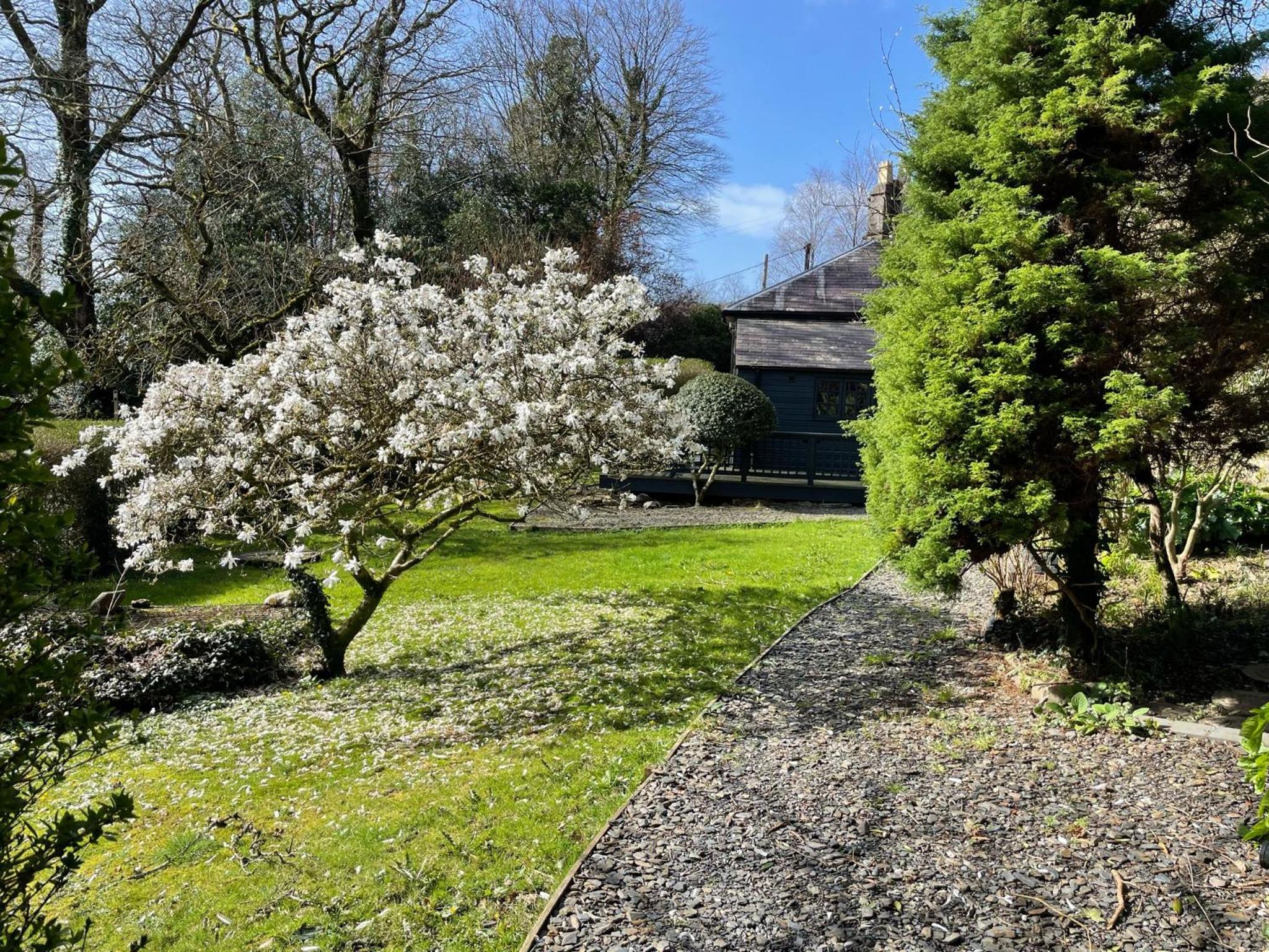 Glandwr Lodge, 3 bed in Barmouth, Wales view 5