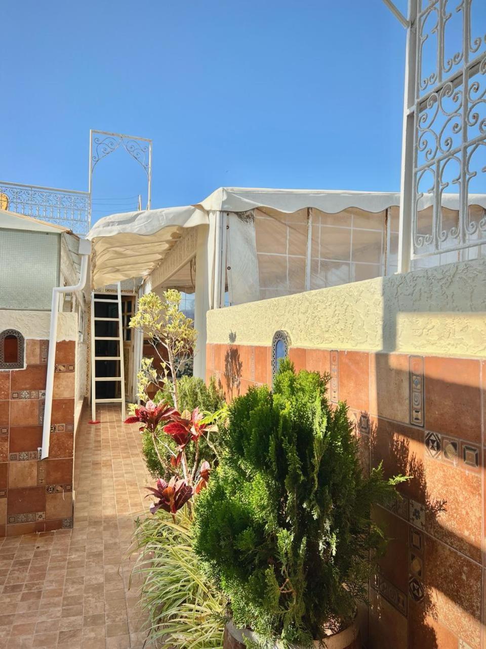 Riad Najiba — photo 83