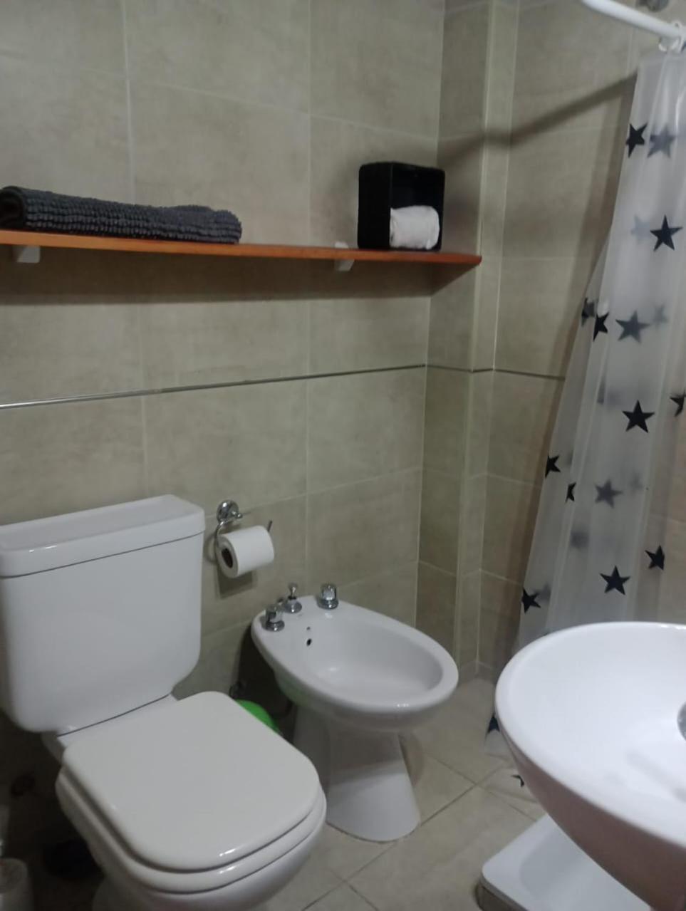 Dos ambientes cerca del Lacar