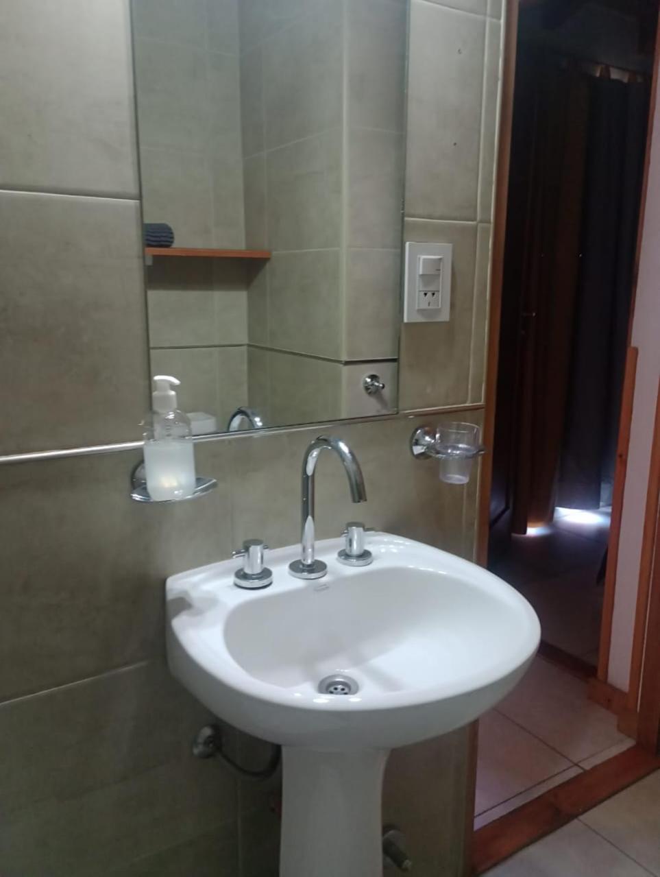 Dos ambientes cerca del Lacar