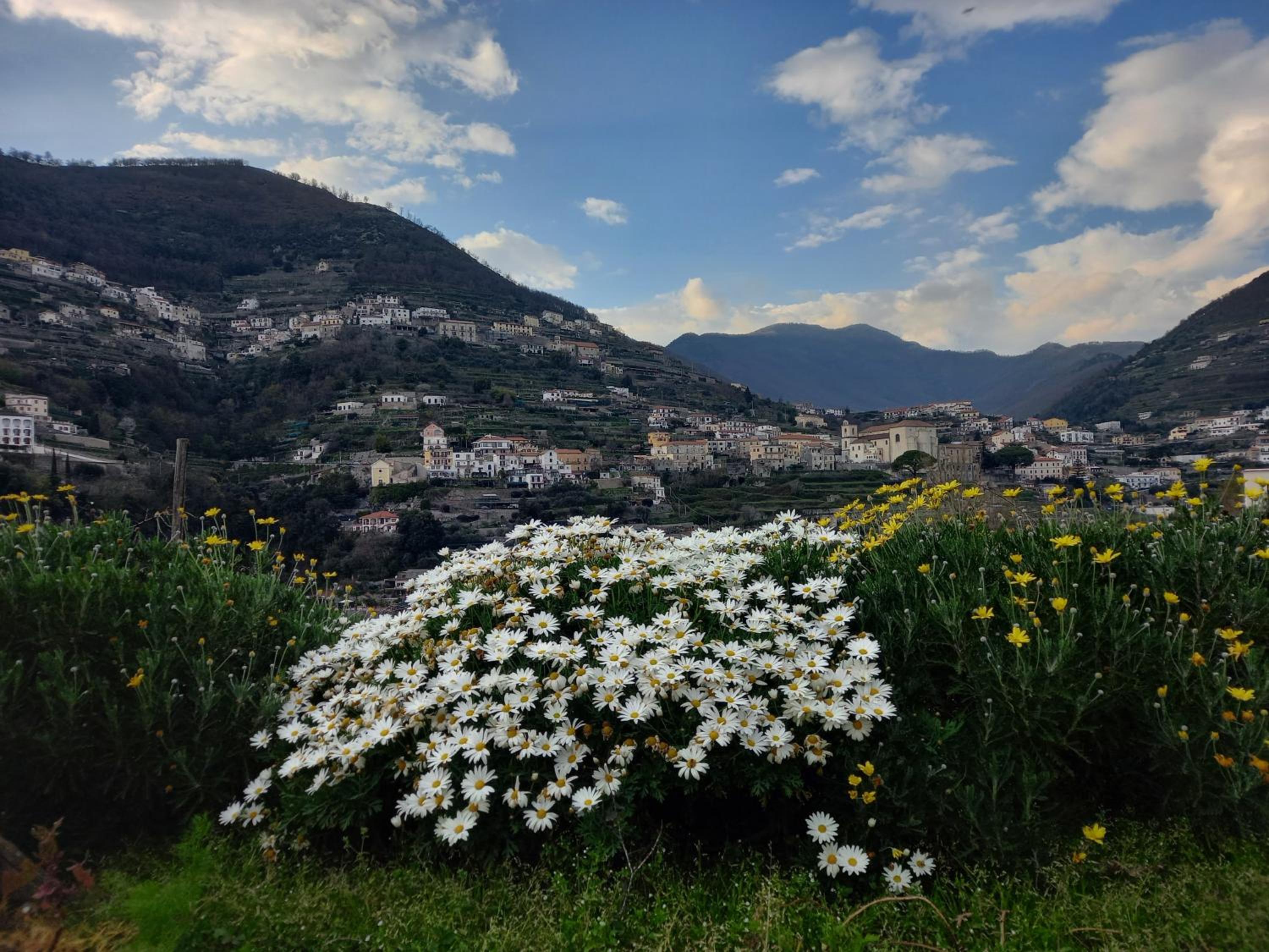 La Margherita Fiorita