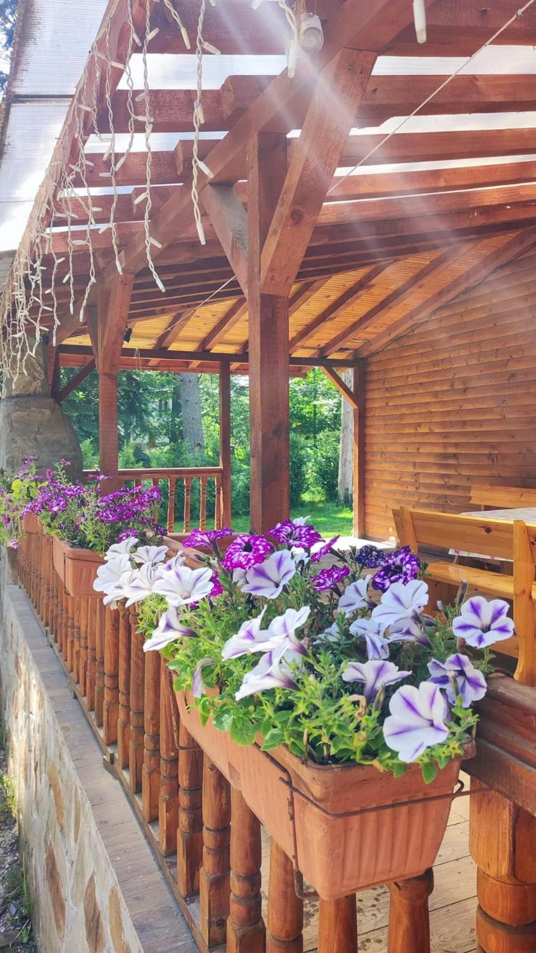 Къща за гости ЕКО