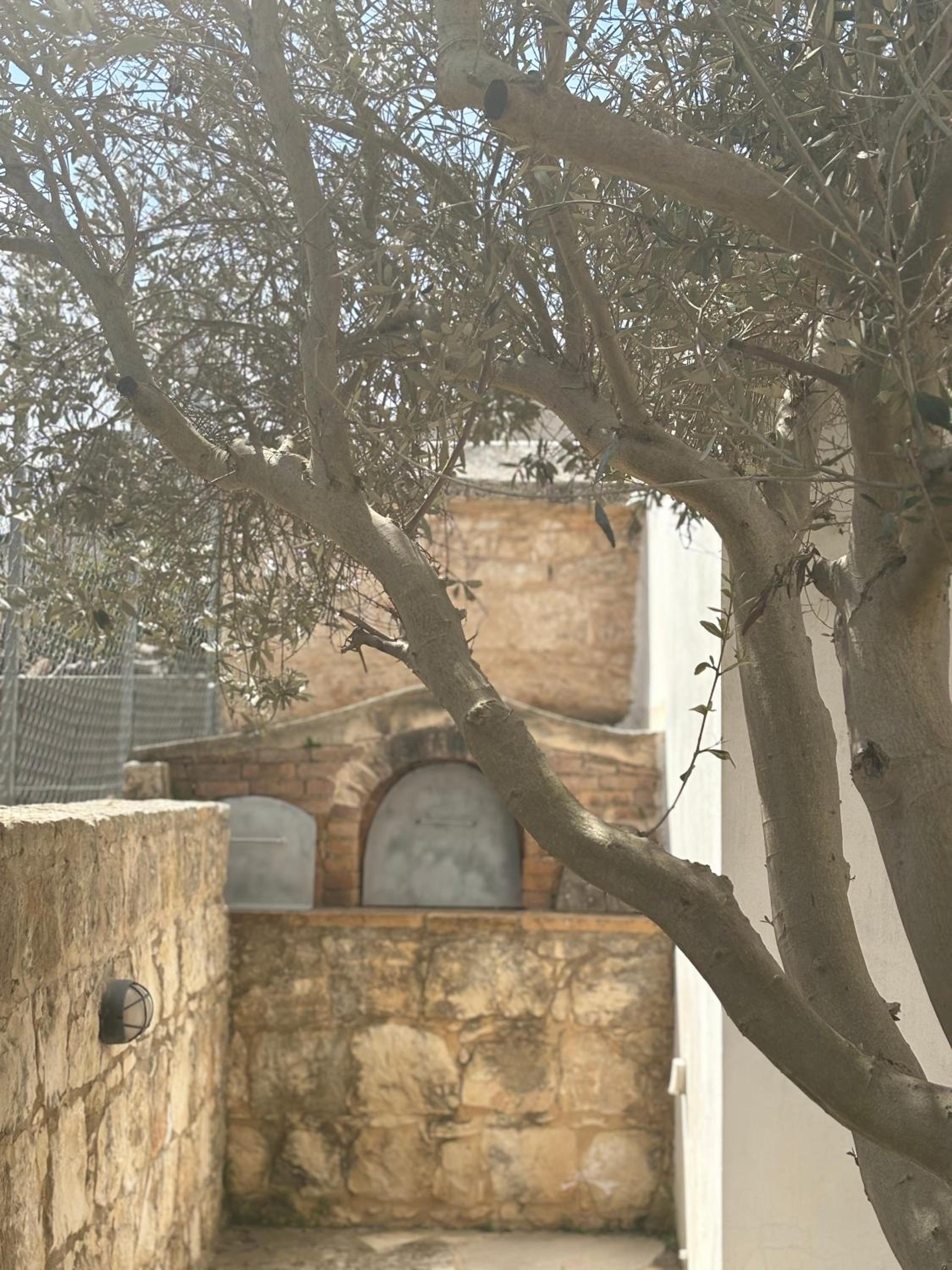 DROUSHIA CORNER HOUSE