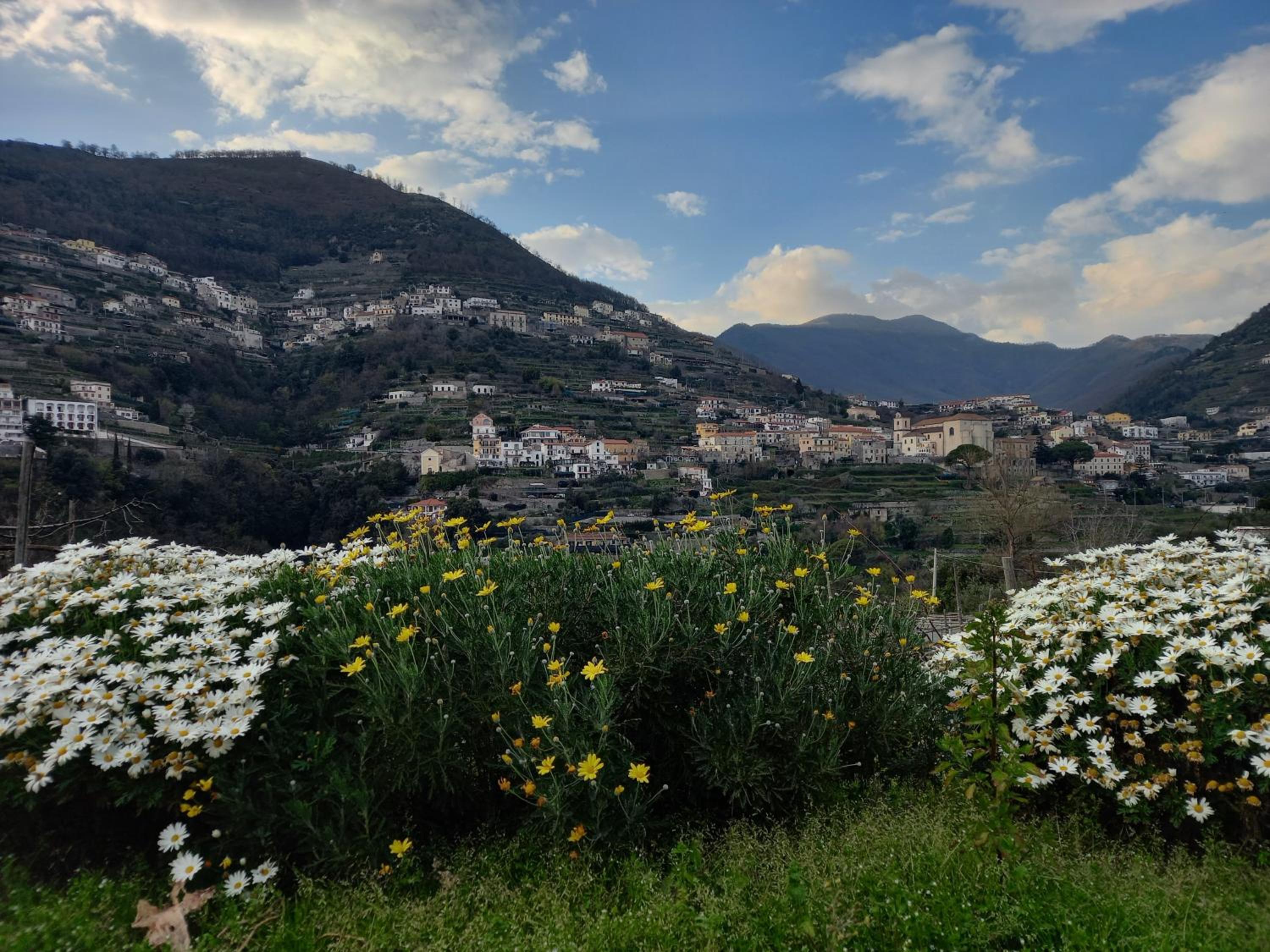 La Margherita Fiorita