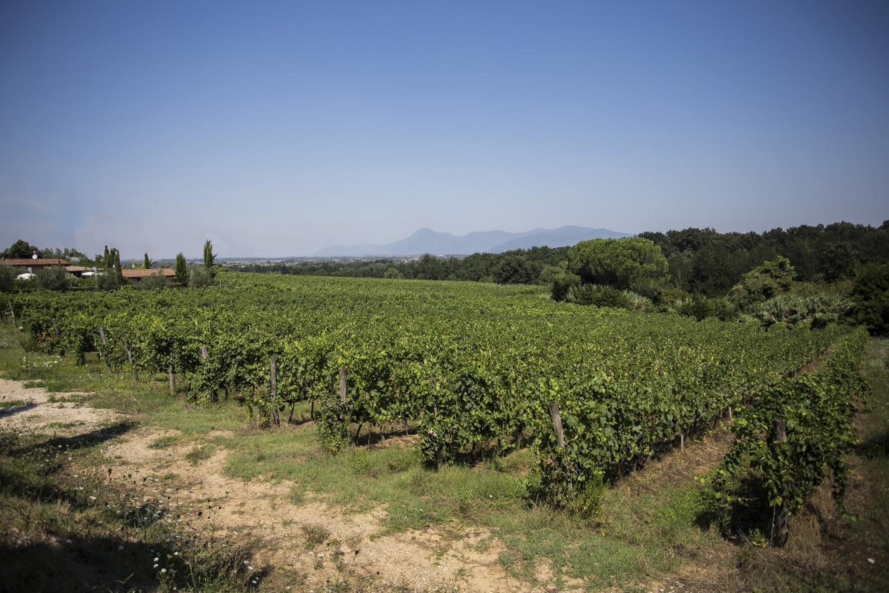 Agriturismo Gli Archi