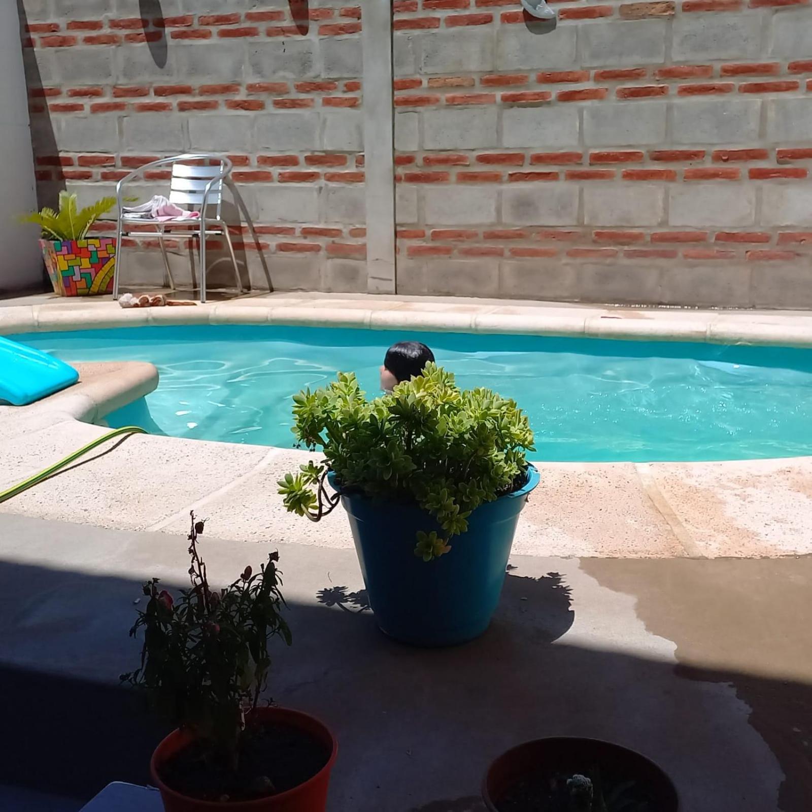 Las nenas