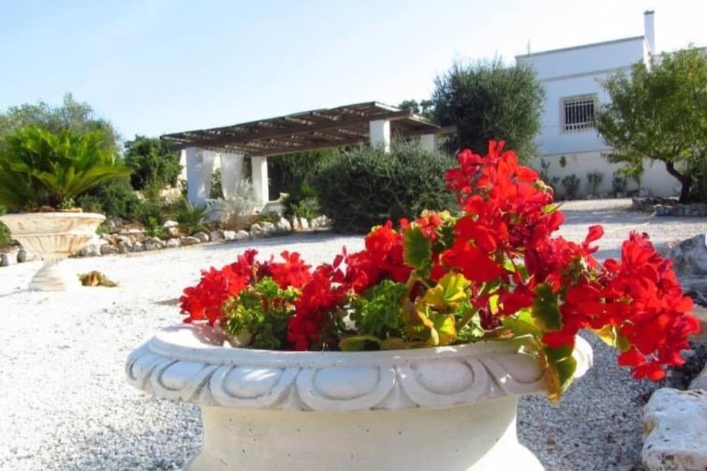 Villa Mandorle