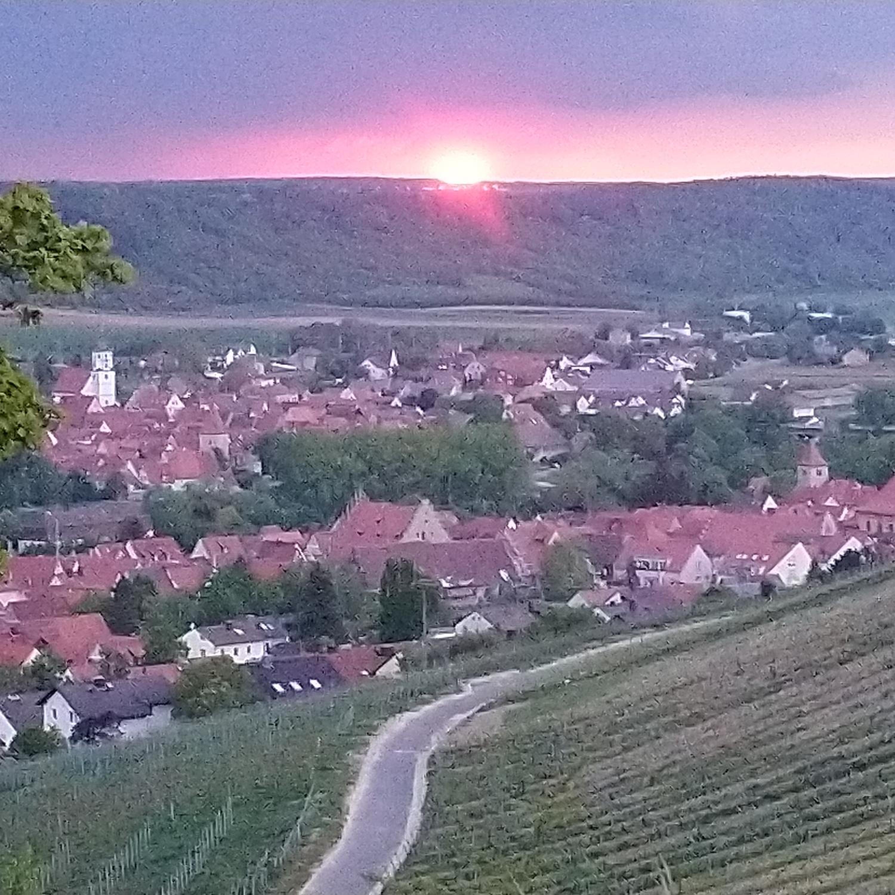 Kirschberghof Gästehaus und Weinverkauf