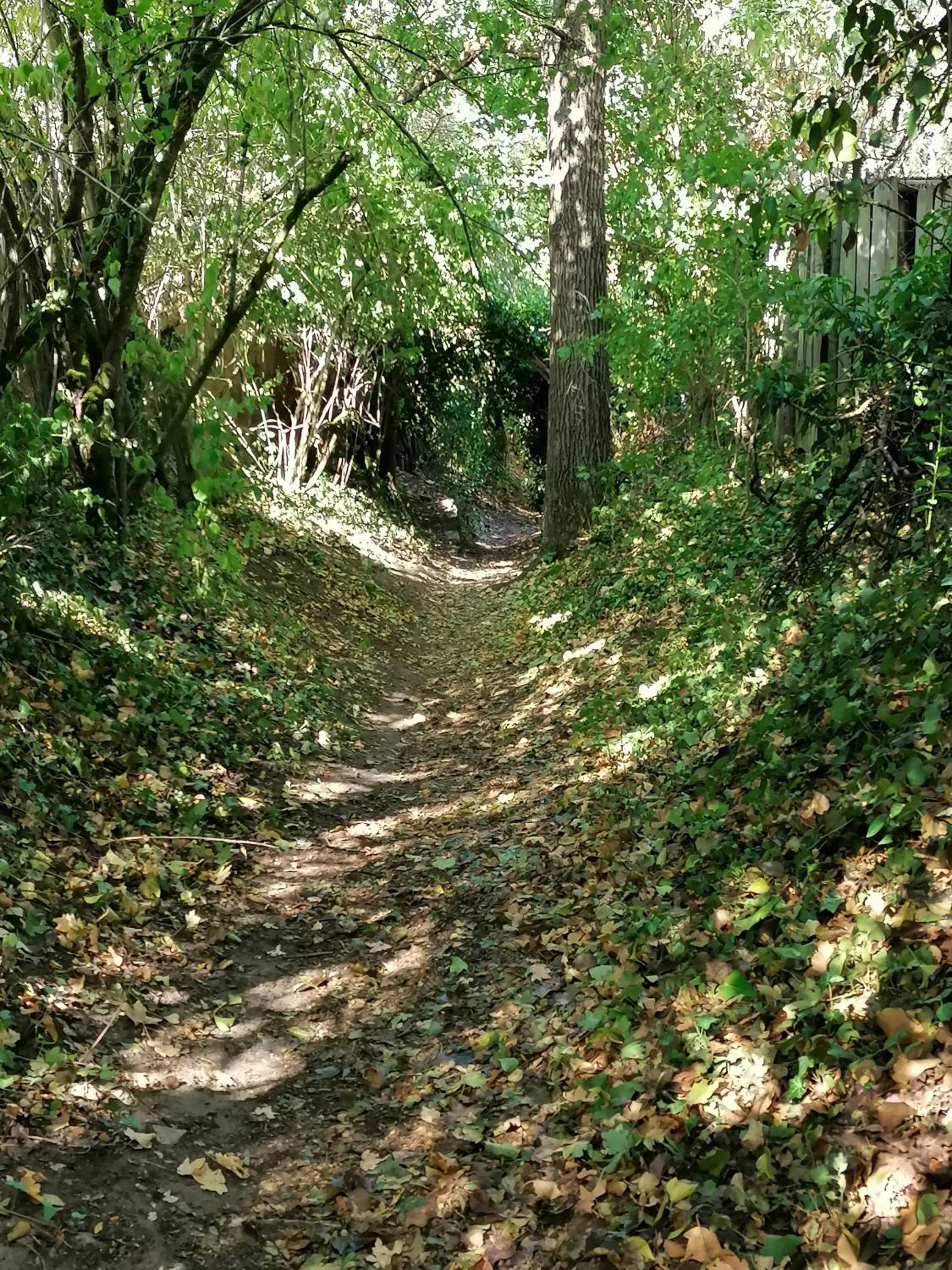 Kirschberghof Gästehaus und Weinverkauf