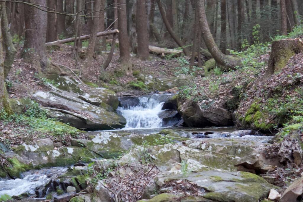 Private Creekside Cabin+Hot Tub,Pool Table, & Pets view 5