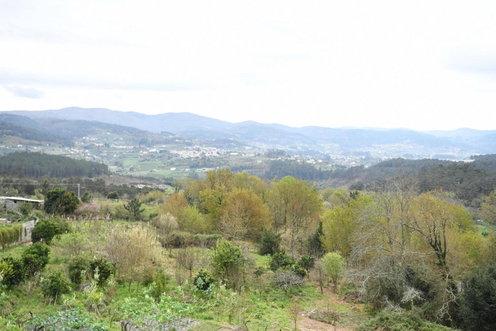 O Monteiriño