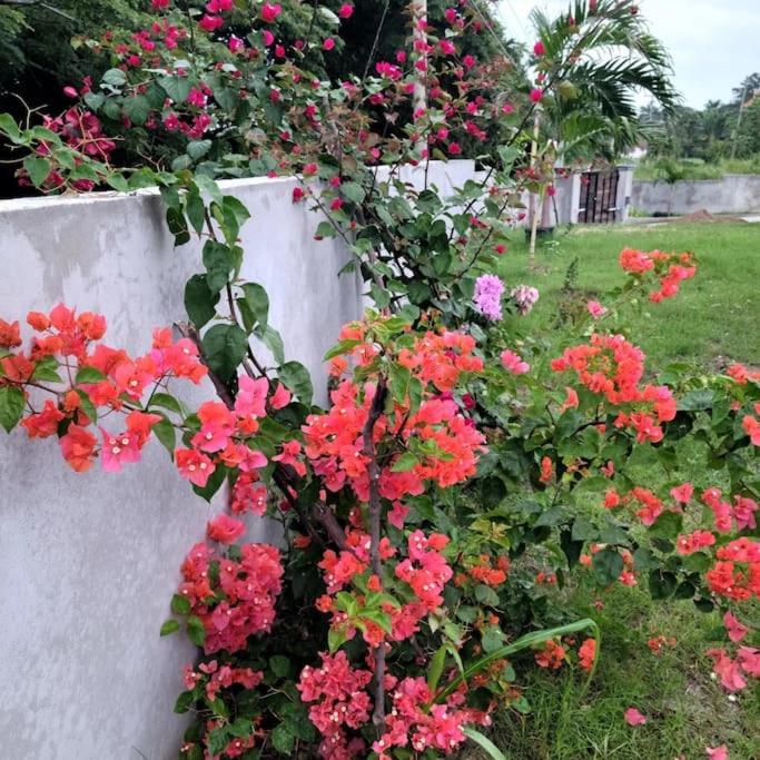 Retreat 2 Jamaica view 3