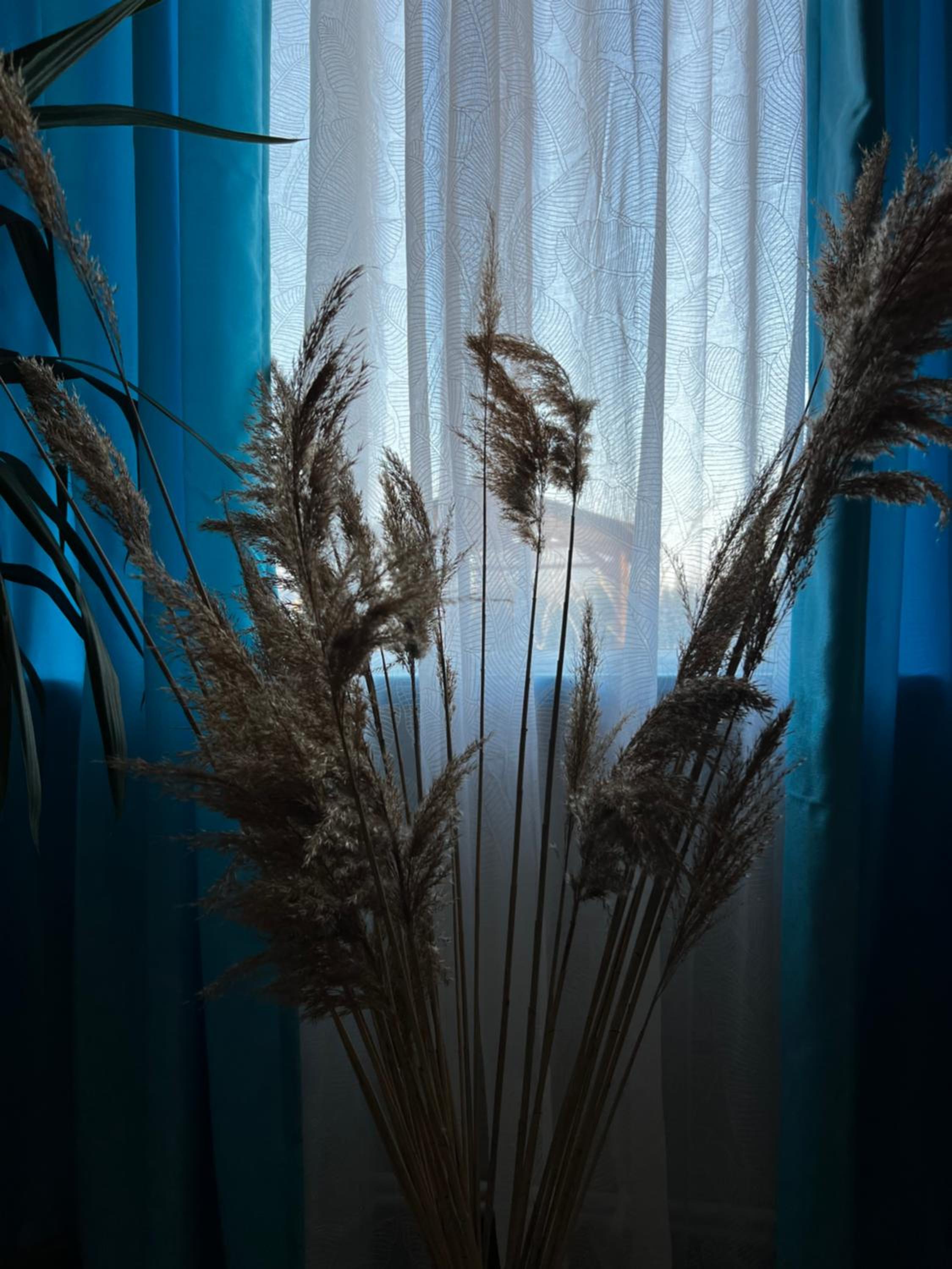 Pensiunea Andra