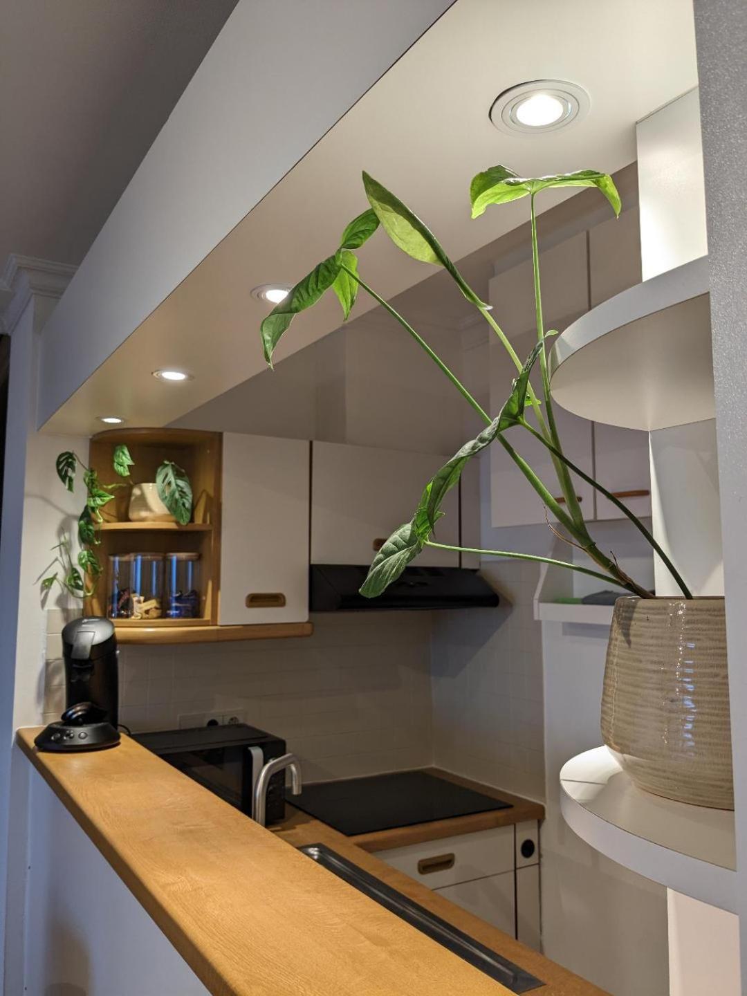 Vista Linda, leuk appartement vlak bij zeedijk en strand