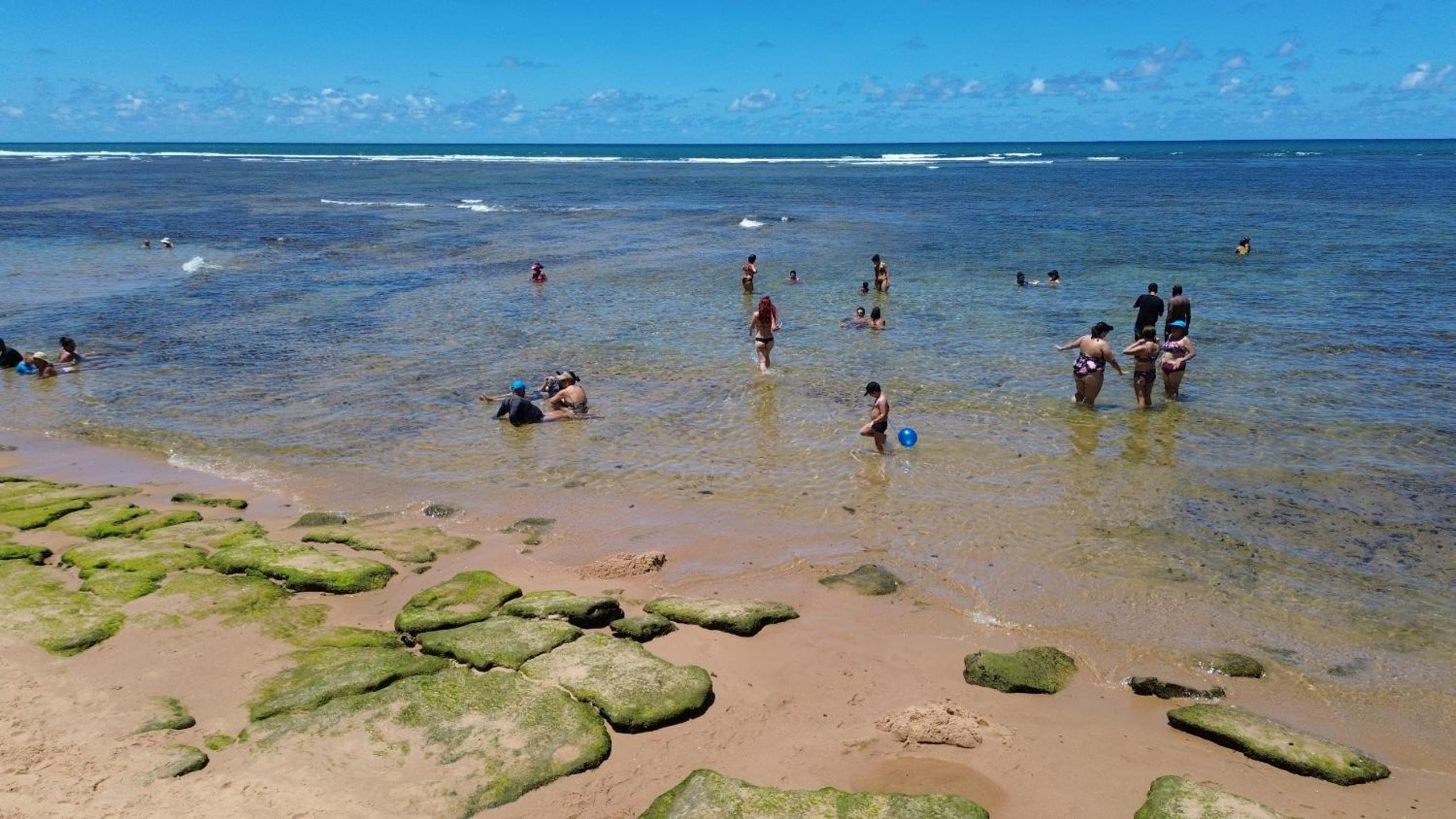 A CASA DA PRAIA DO FORTE