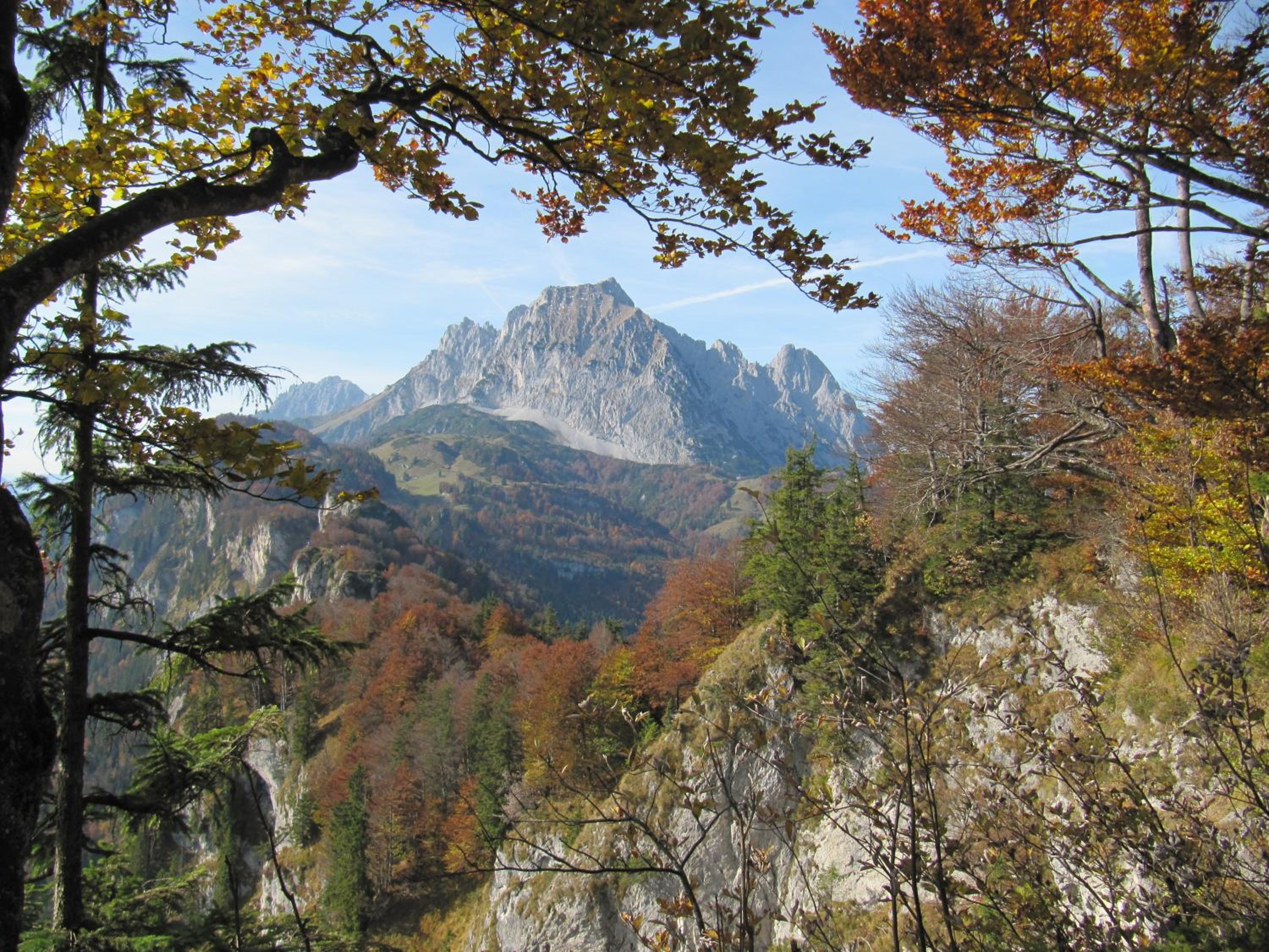 Photo 25