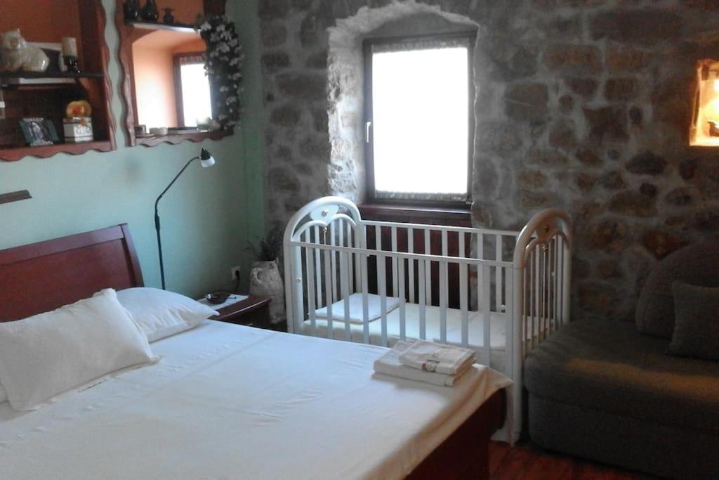 Authentic Dalmatian house Sara