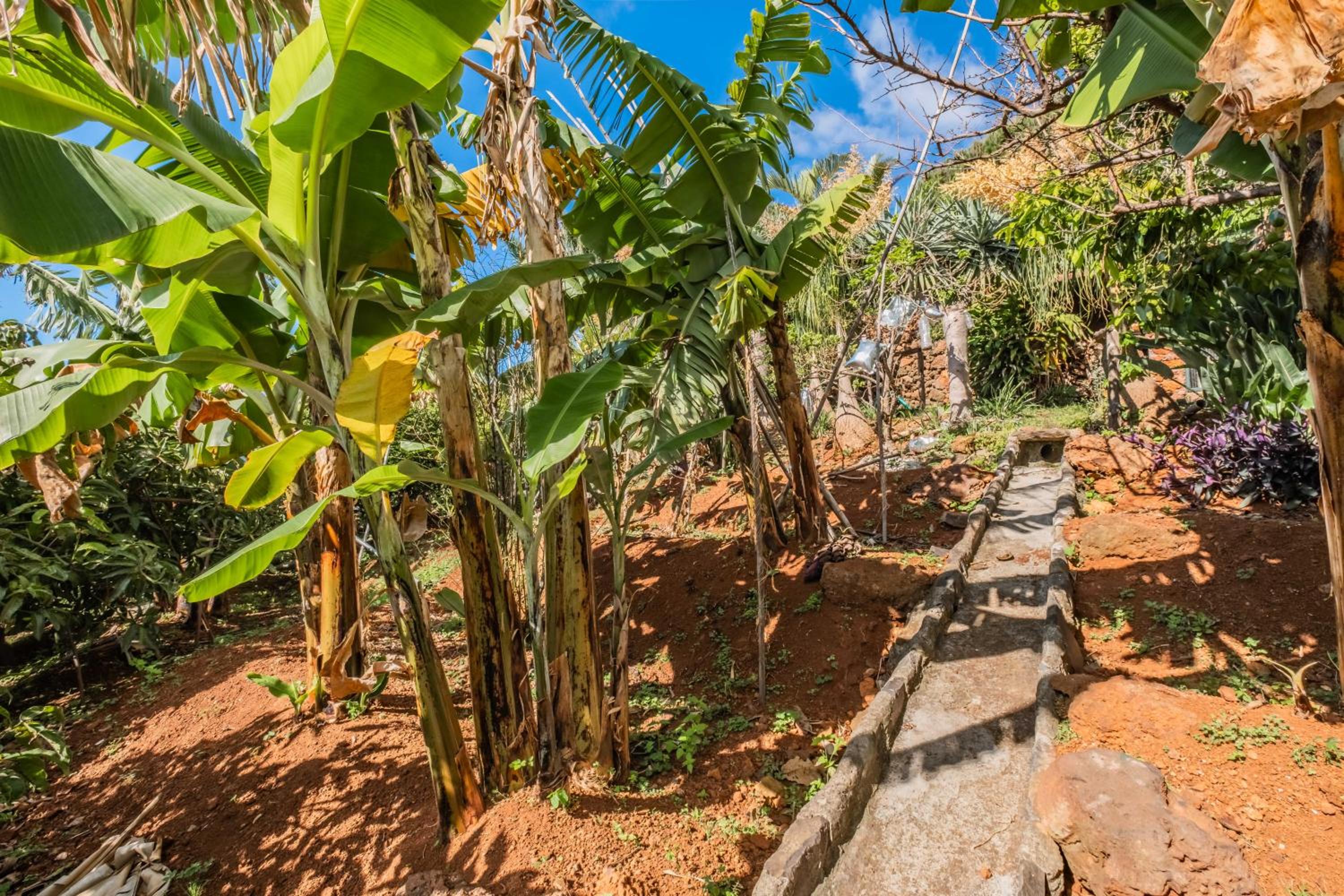 BioFuncho Garden Residence