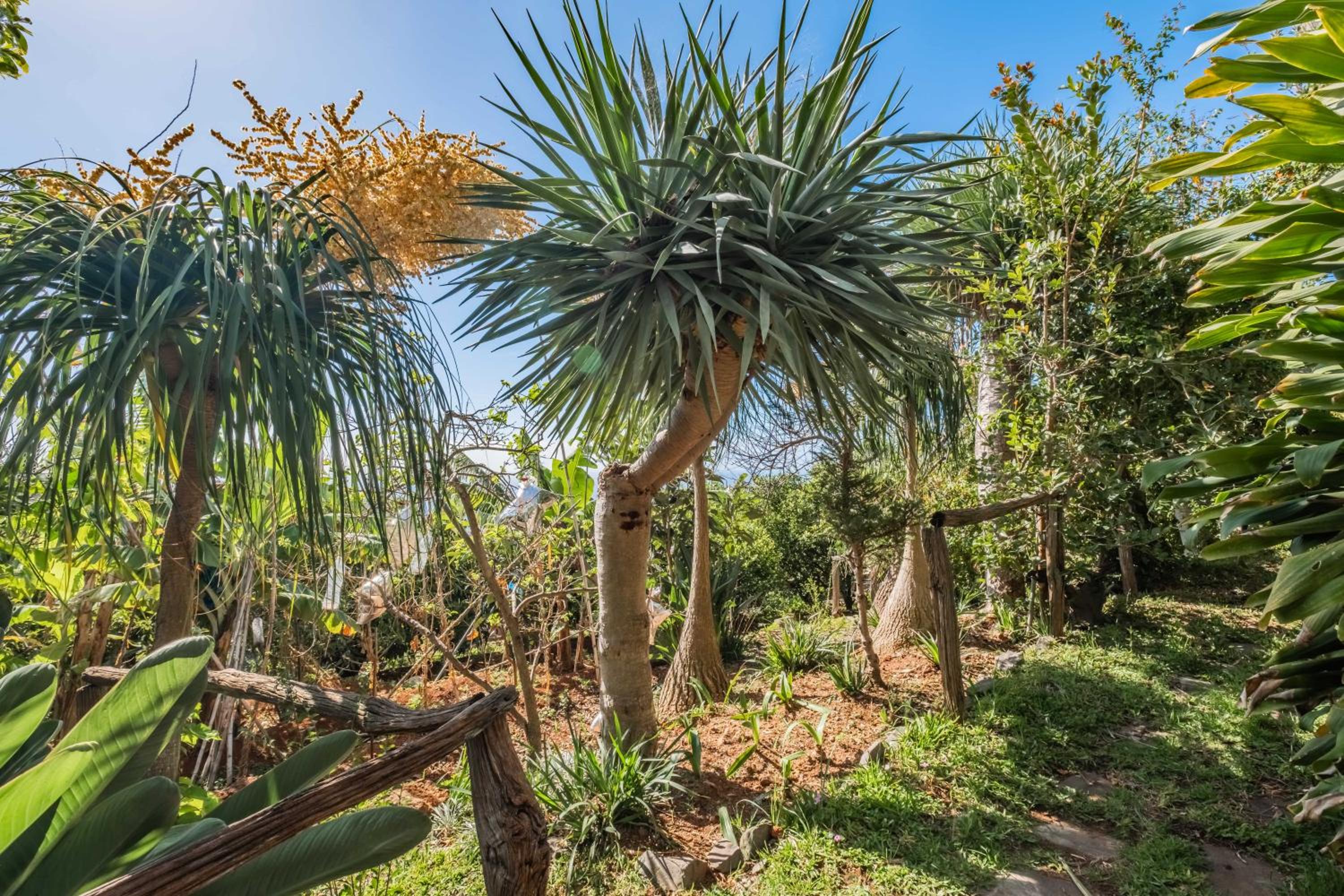 BioFuncho Garden Residence