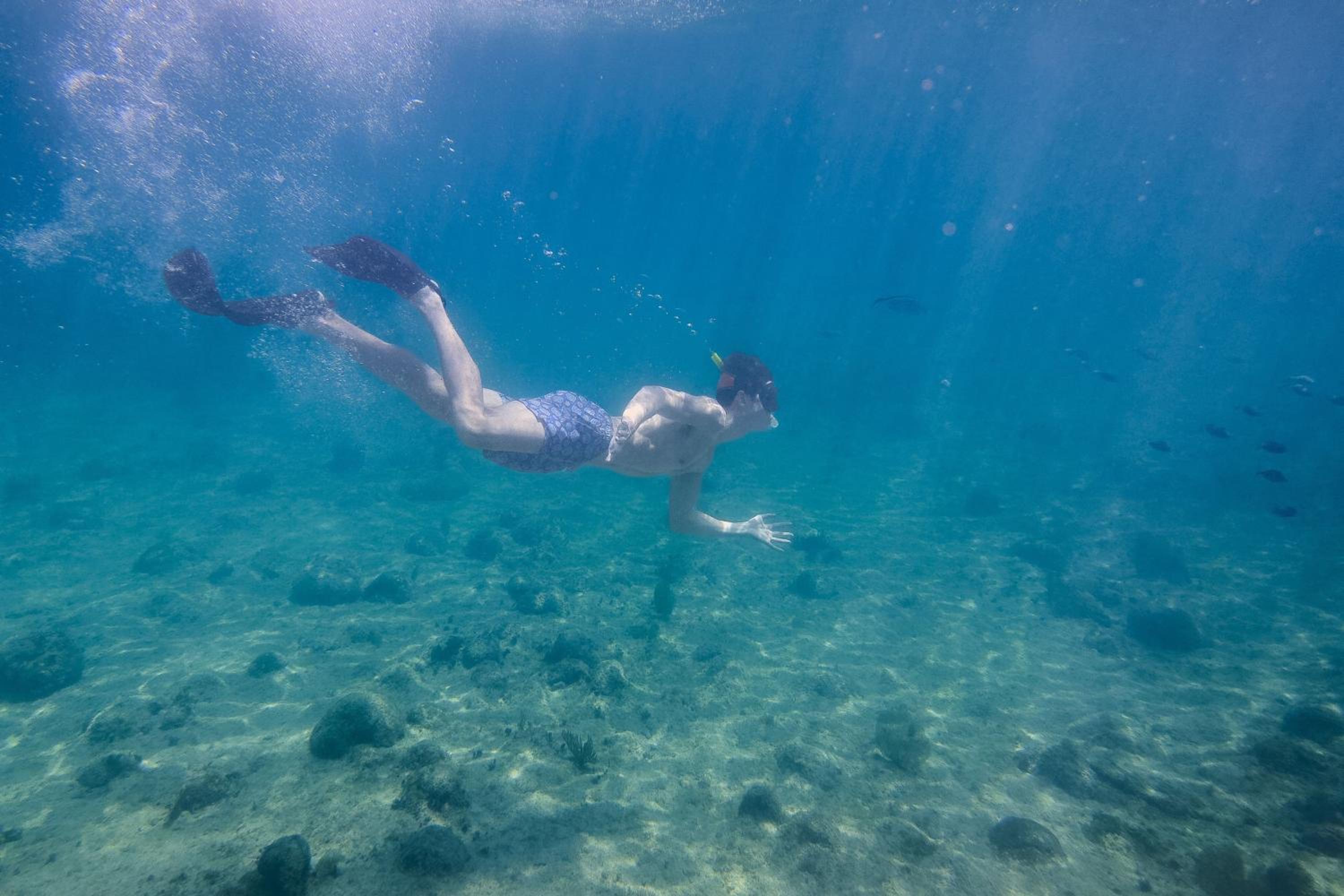 The Ritz-Carlton, Grand Cayman - Photo 115