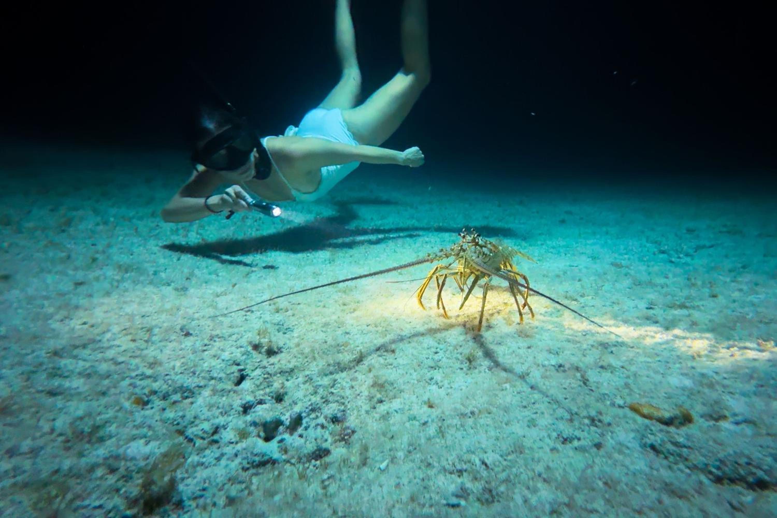 The Ritz-Carlton, Grand Cayman - Photo 120