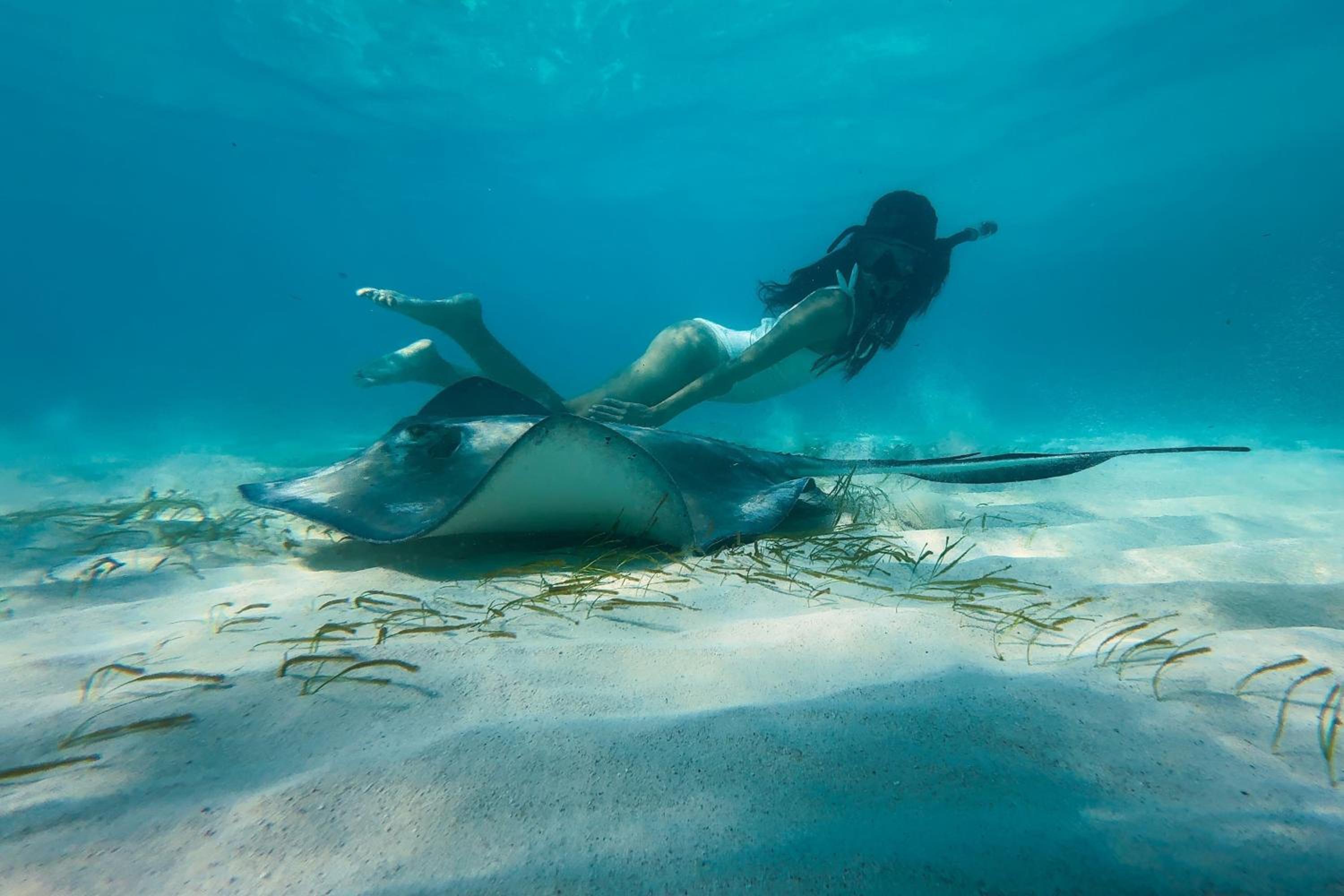 The Ritz-Carlton, Grand Cayman - Photo 121