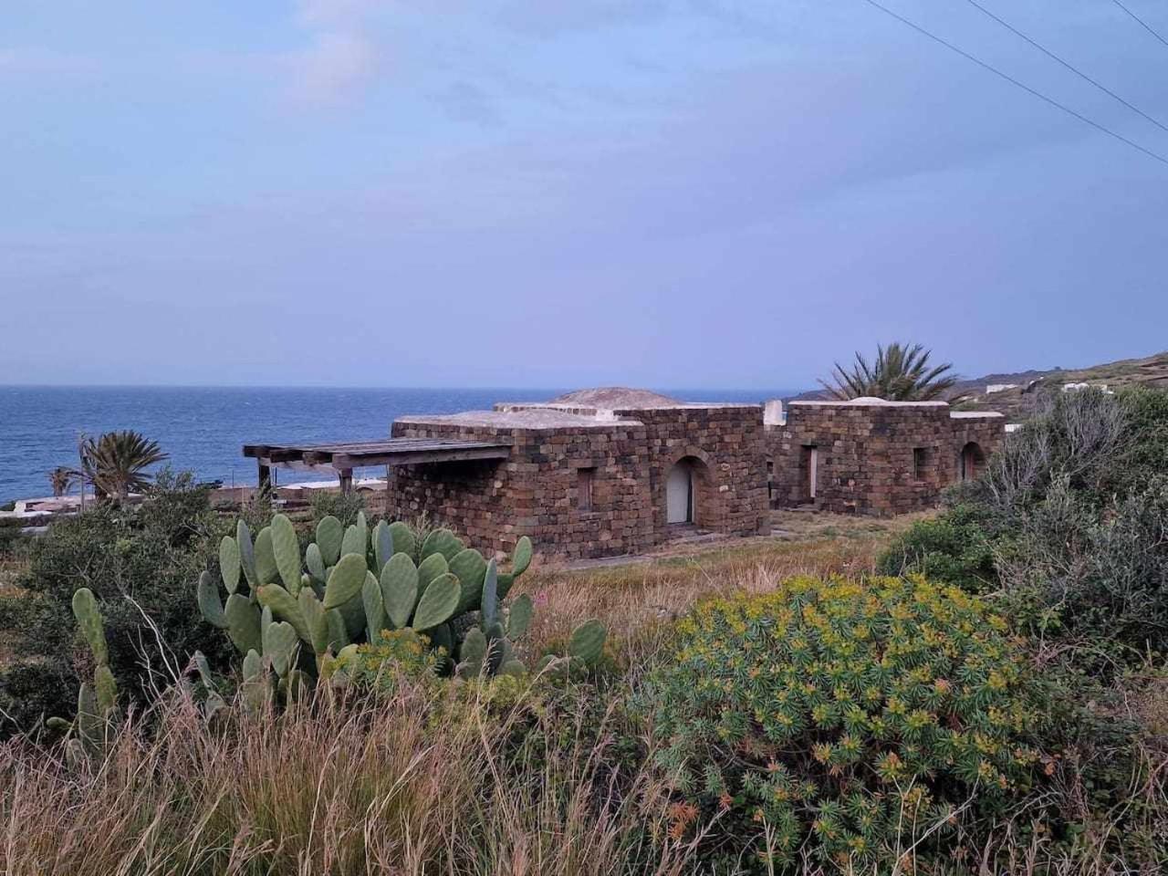 Dammusi Futura