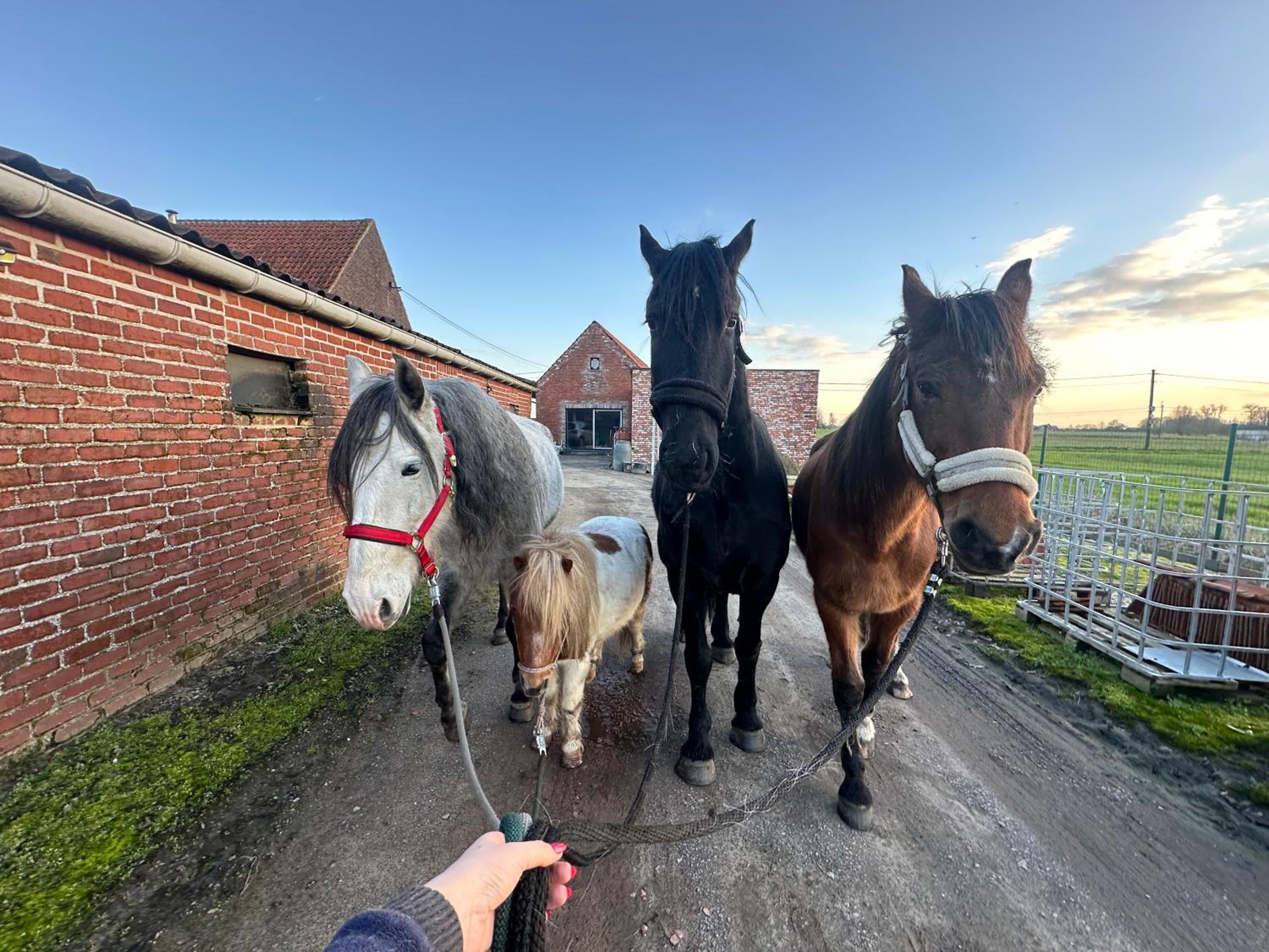 De Viervoeters Hoeve