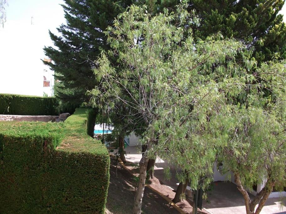 Photo 17