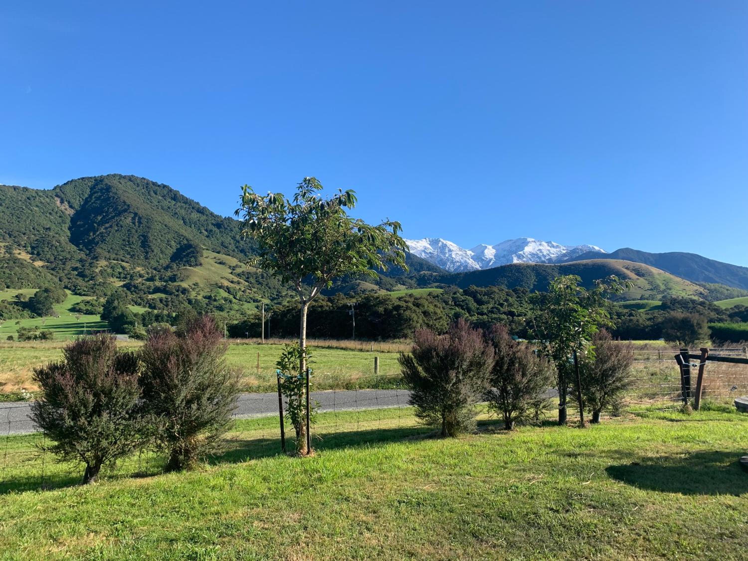 Alpine Manuka View Cabin