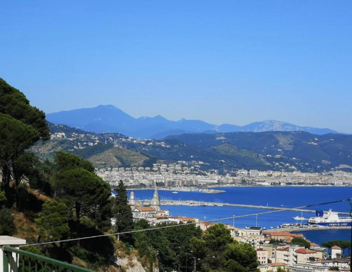 Terrazza Mediterranea