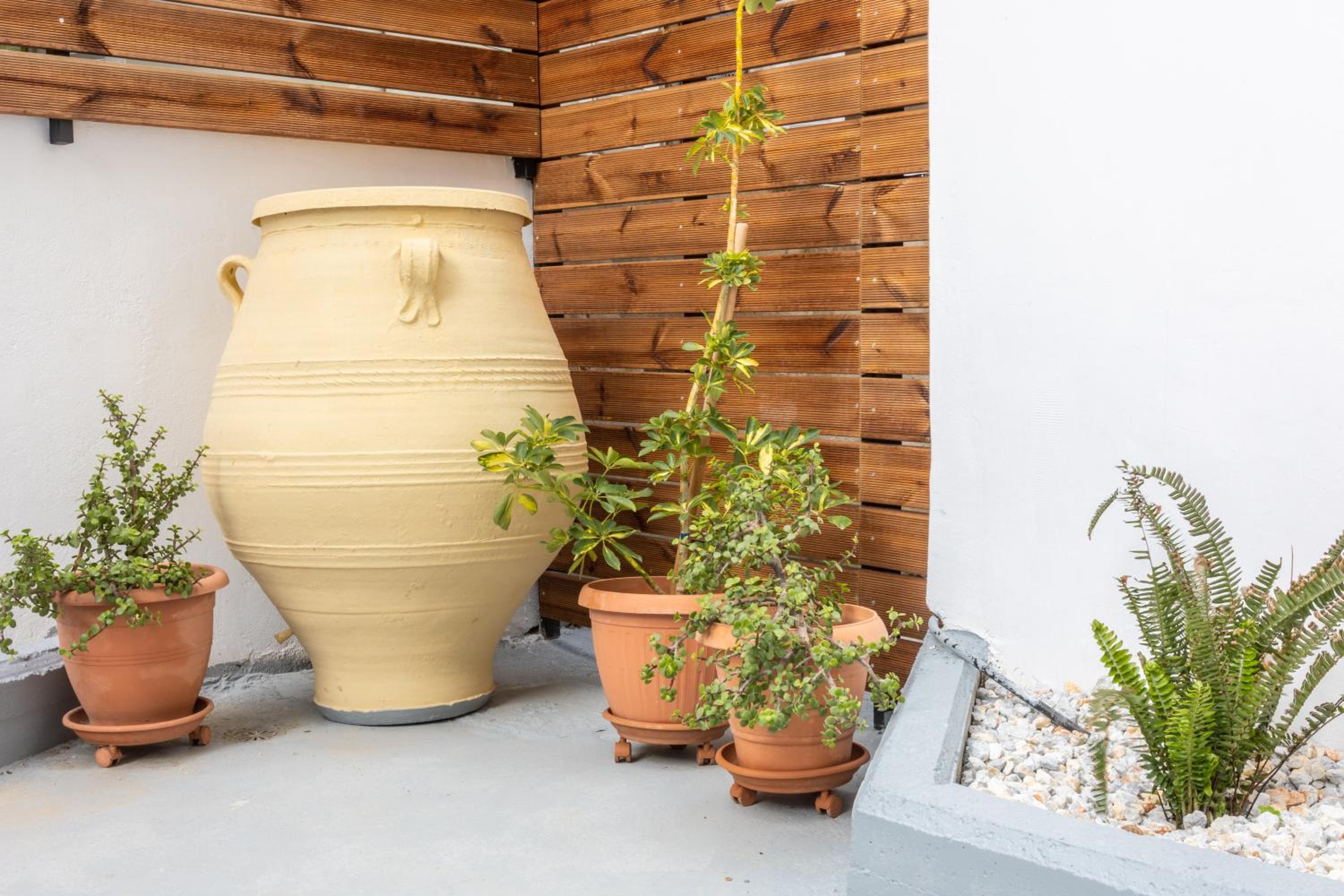 Garden Luxury Apartment