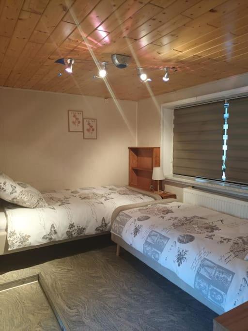 Ferienhaus am Elberadweg mit Sauna & Kamin - Natur, Erholung & S-Bahn-Anbindung - Saxon Oase