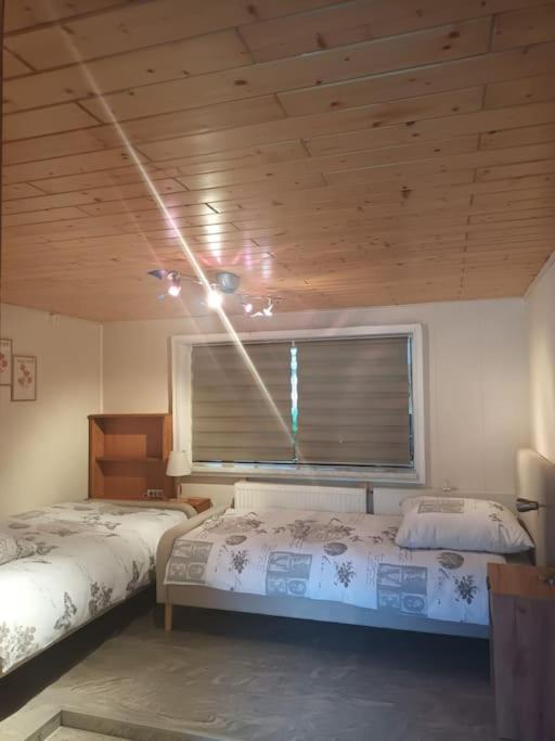 Ferienhaus am Elberadweg mit Sauna & Kamin - Natur, Erholung & S-Bahn-Anbindung - Saxon Oase