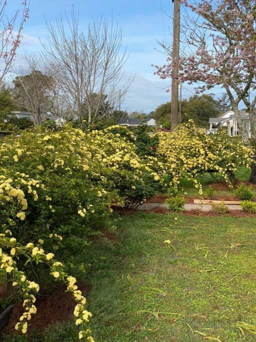 Clamalot. 3 BR Historic Beaufort NC Cottage view 4