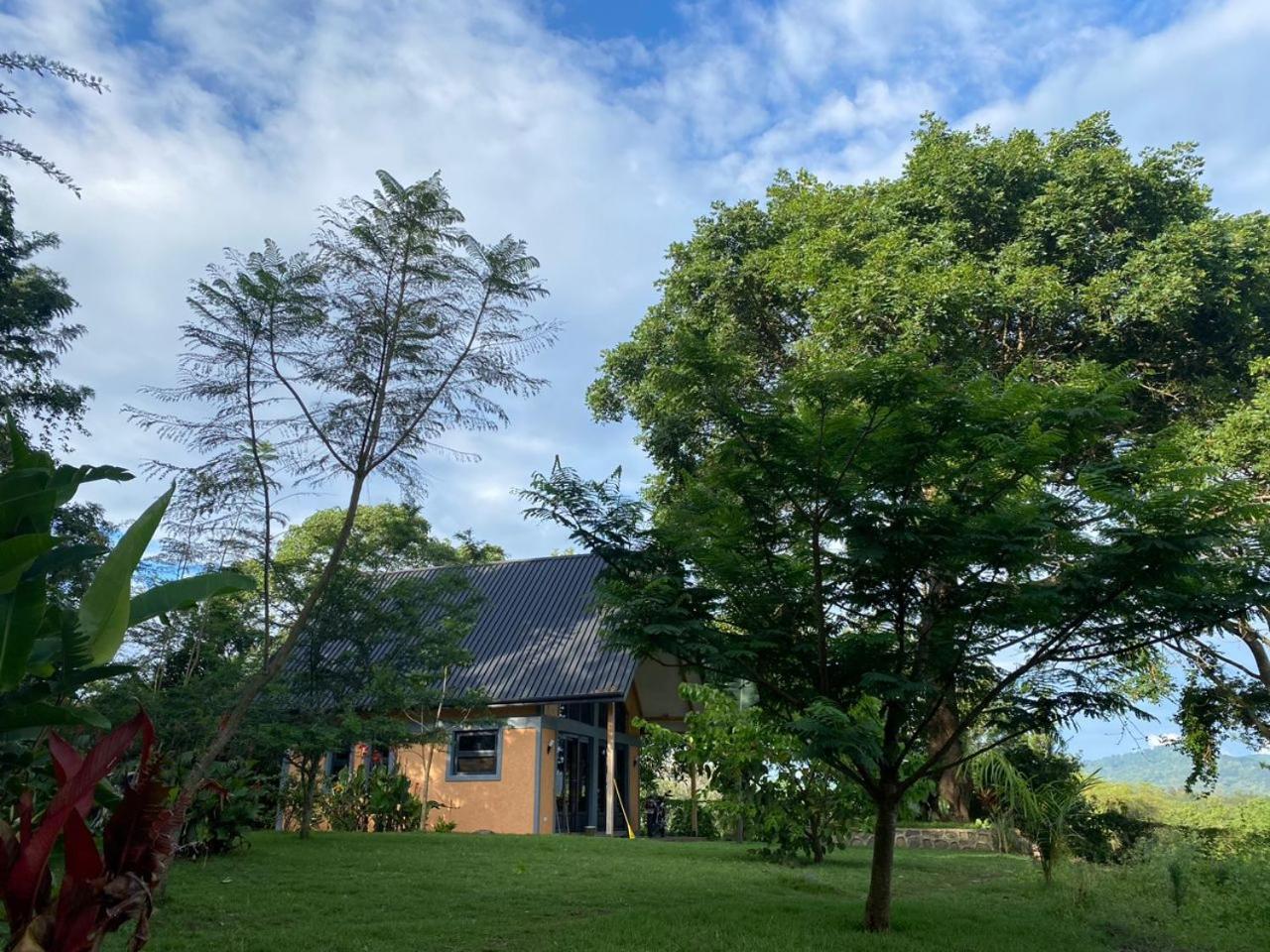Msitu Hut view 3