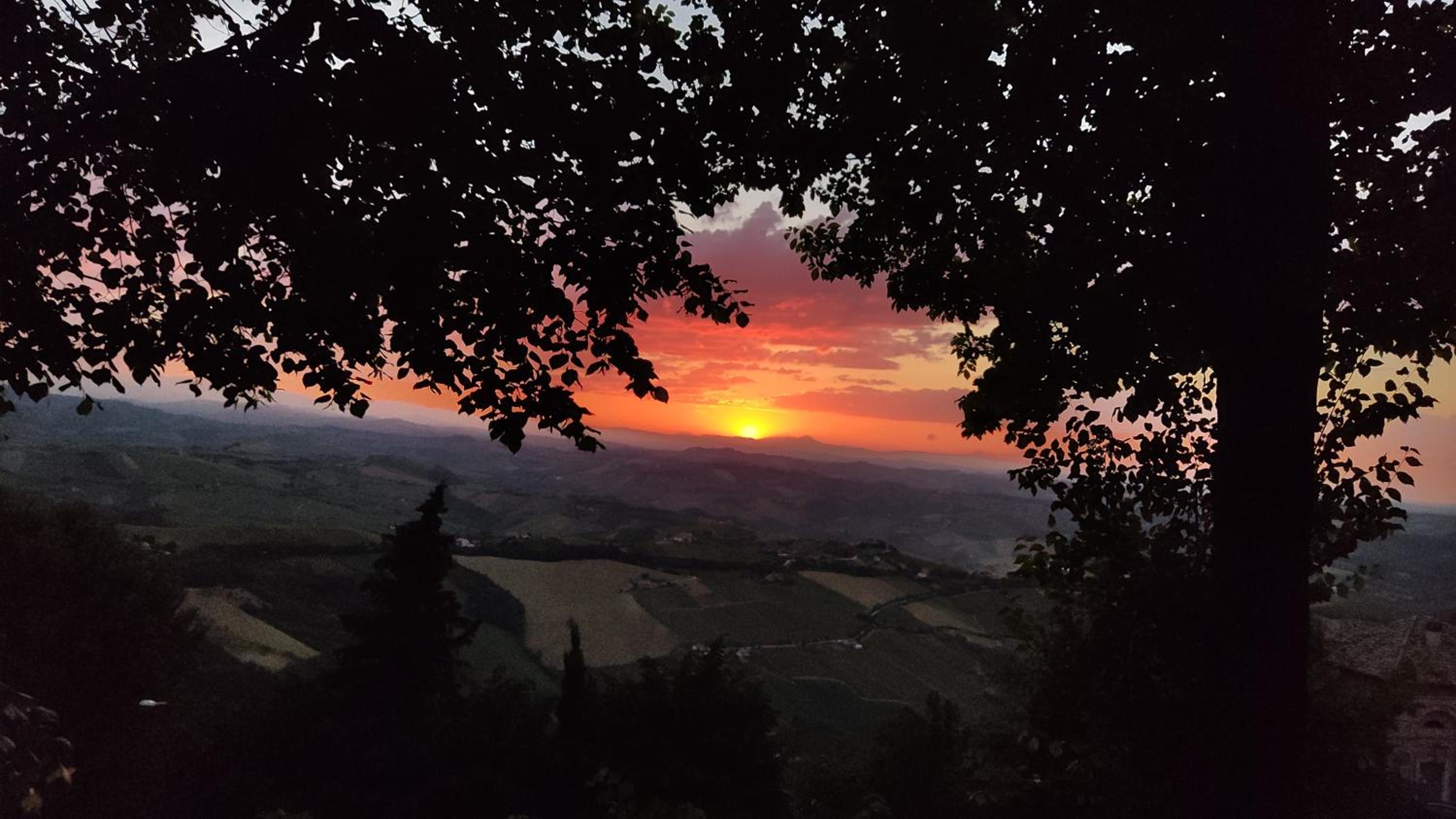 other