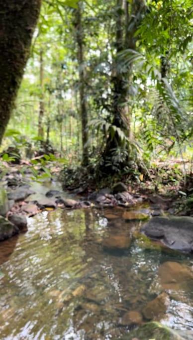 Rustico Rio Celeste