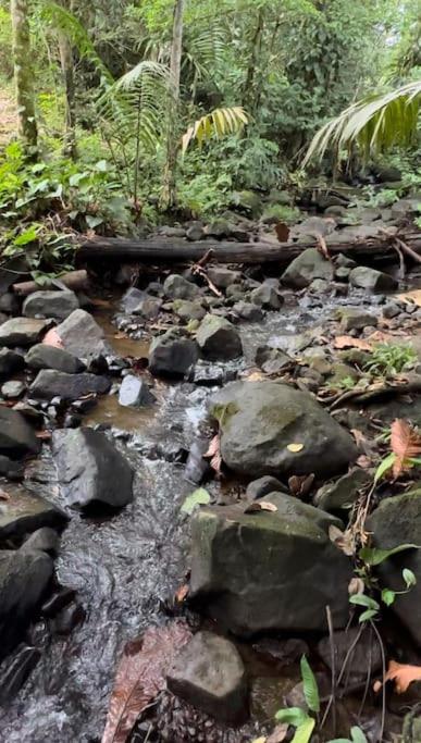 Rustico Rio Celeste