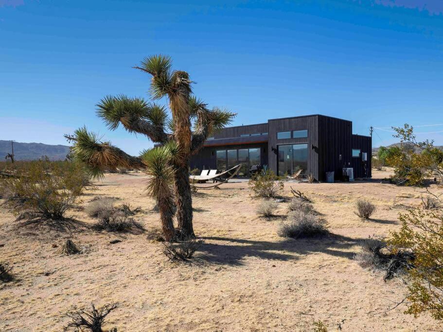 Skyview Modern House