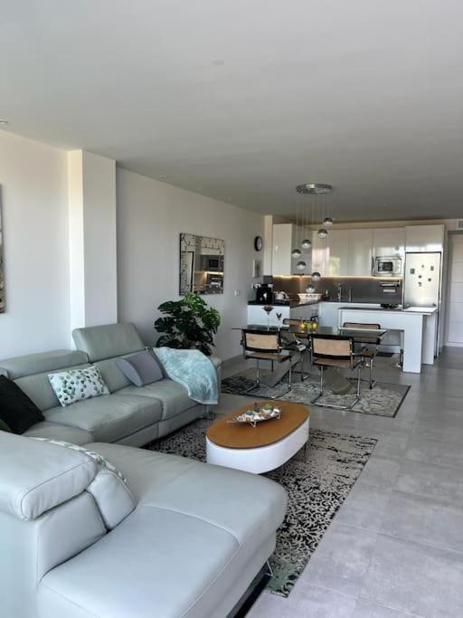 Amazing New Apartment