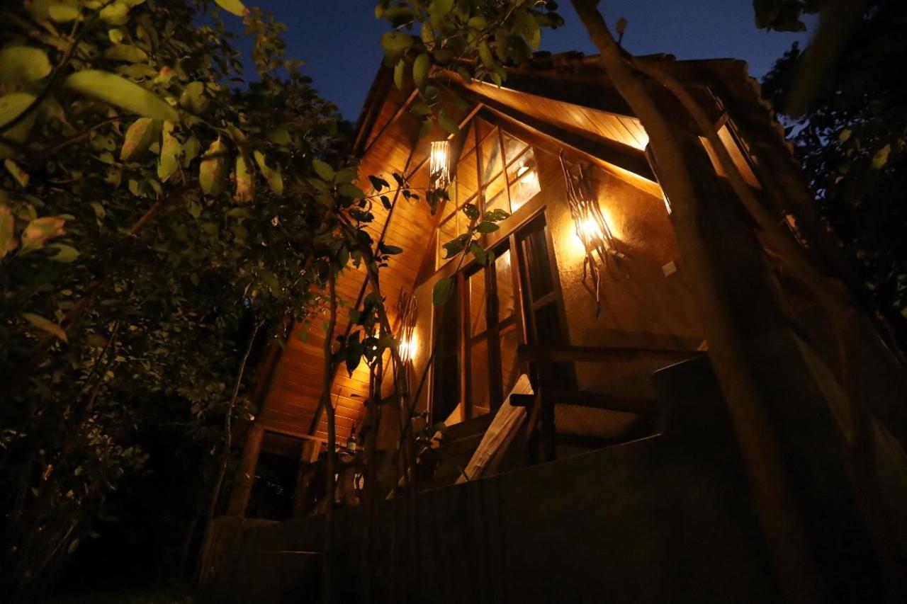 Cinnamon Paradise Nature Room