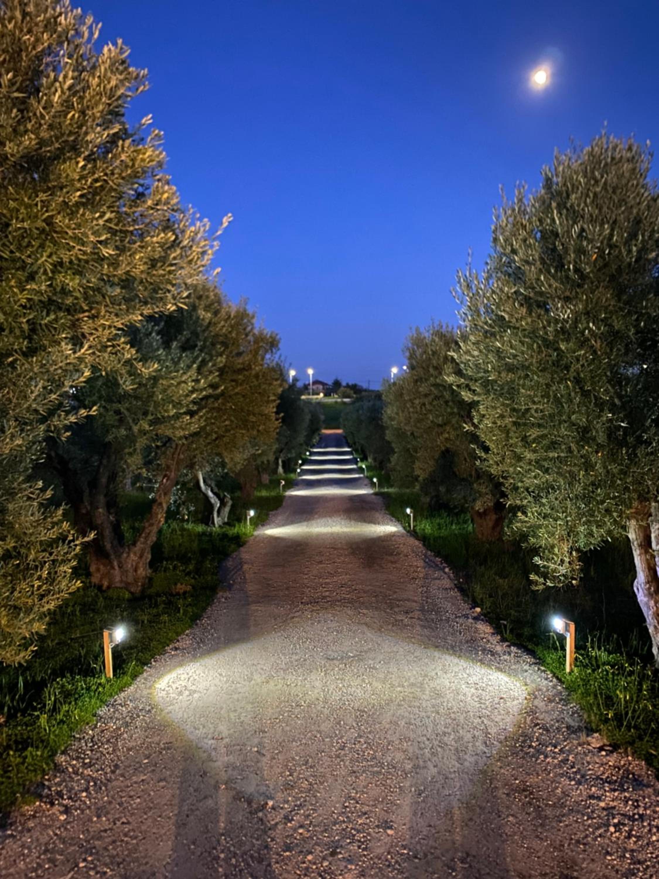 Villa Olymp