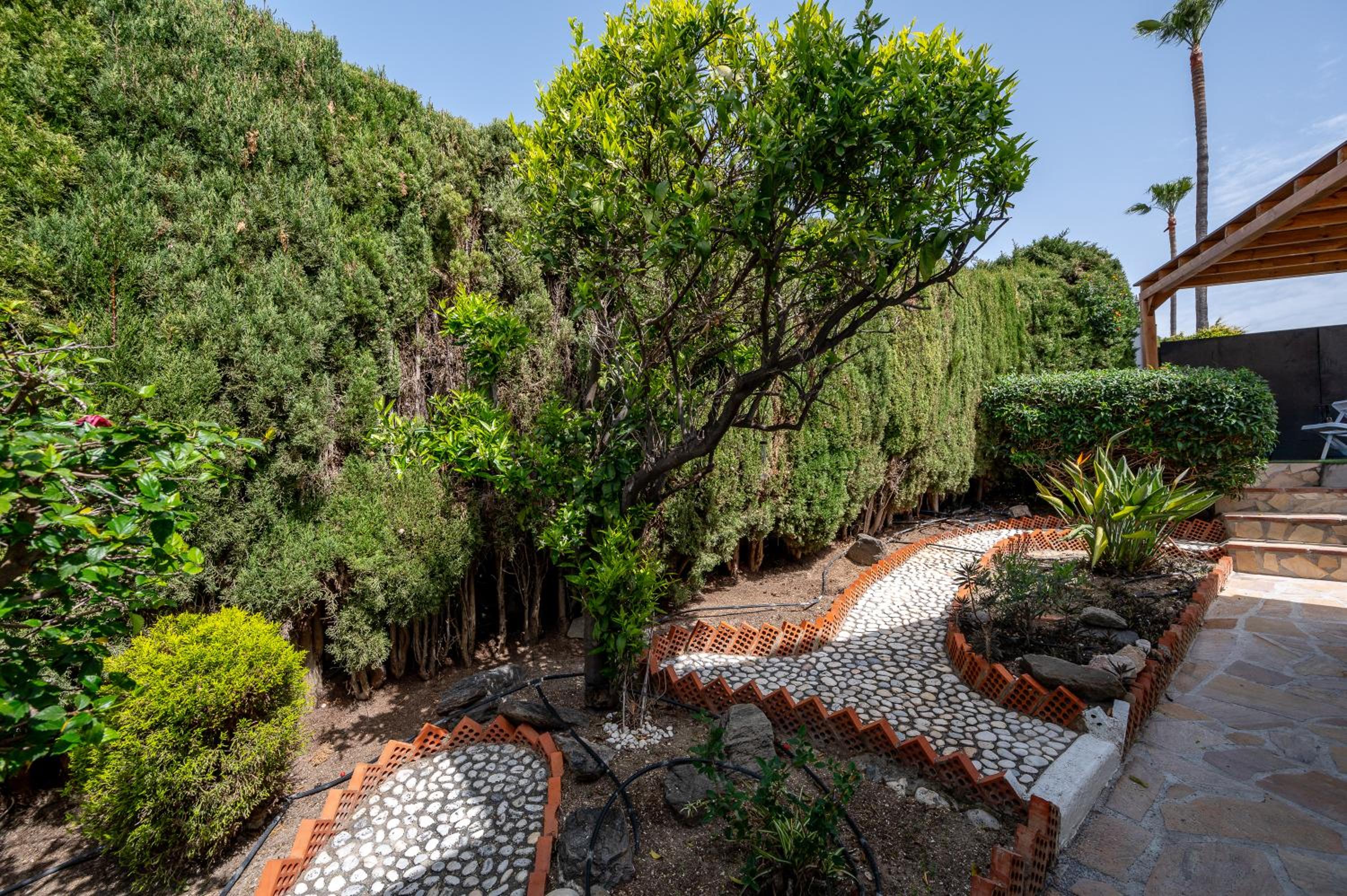 Villa mariposa