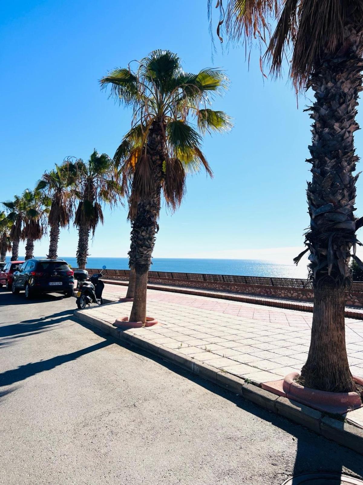 Sunny Paradise/El Paraiso Soleado