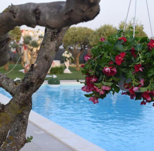 B&B Villa Antonella view 3